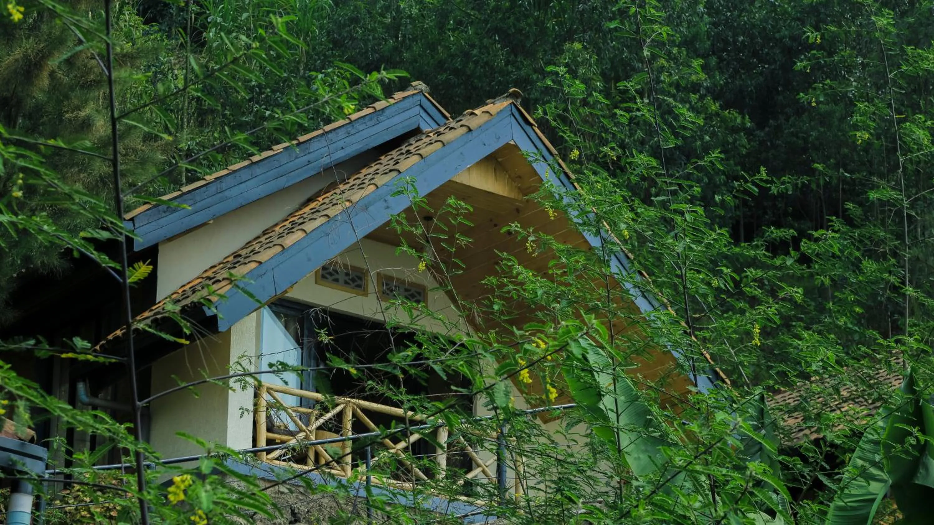Natural landscape in My Hill Eco Lodge