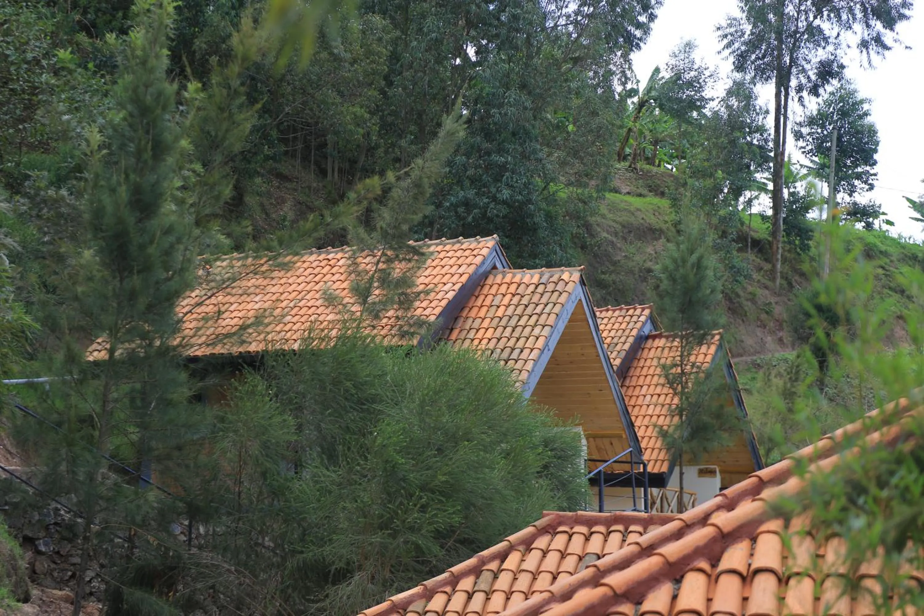 My Hill Eco Lodge