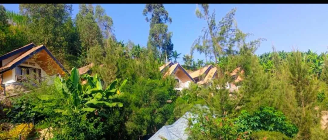 My Hill Eco Lodge