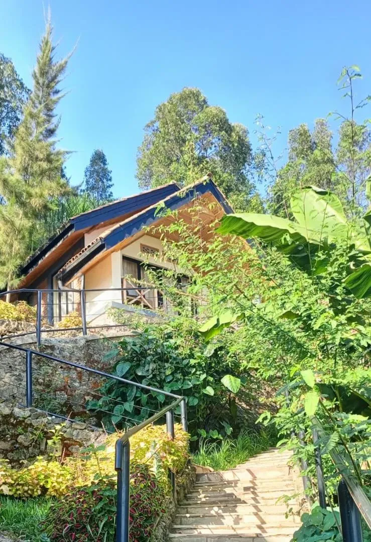 My Hill Eco Lodge