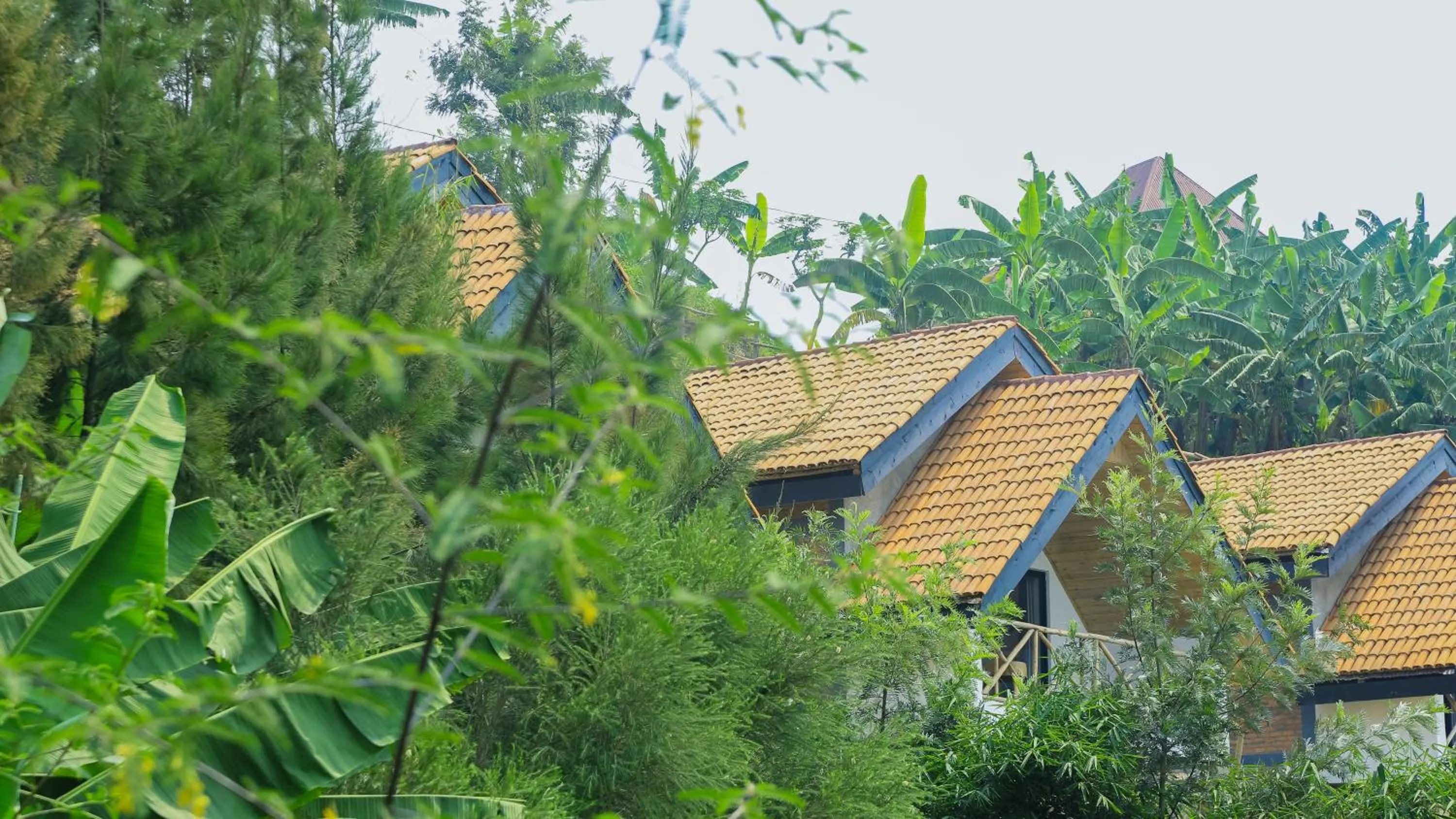 My Hill Eco Lodge