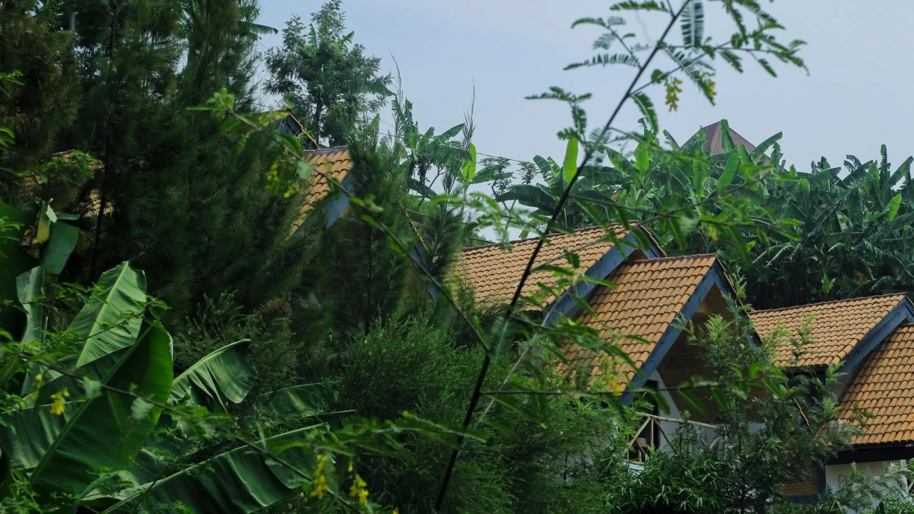 Natural landscape in My Hill Eco Lodge