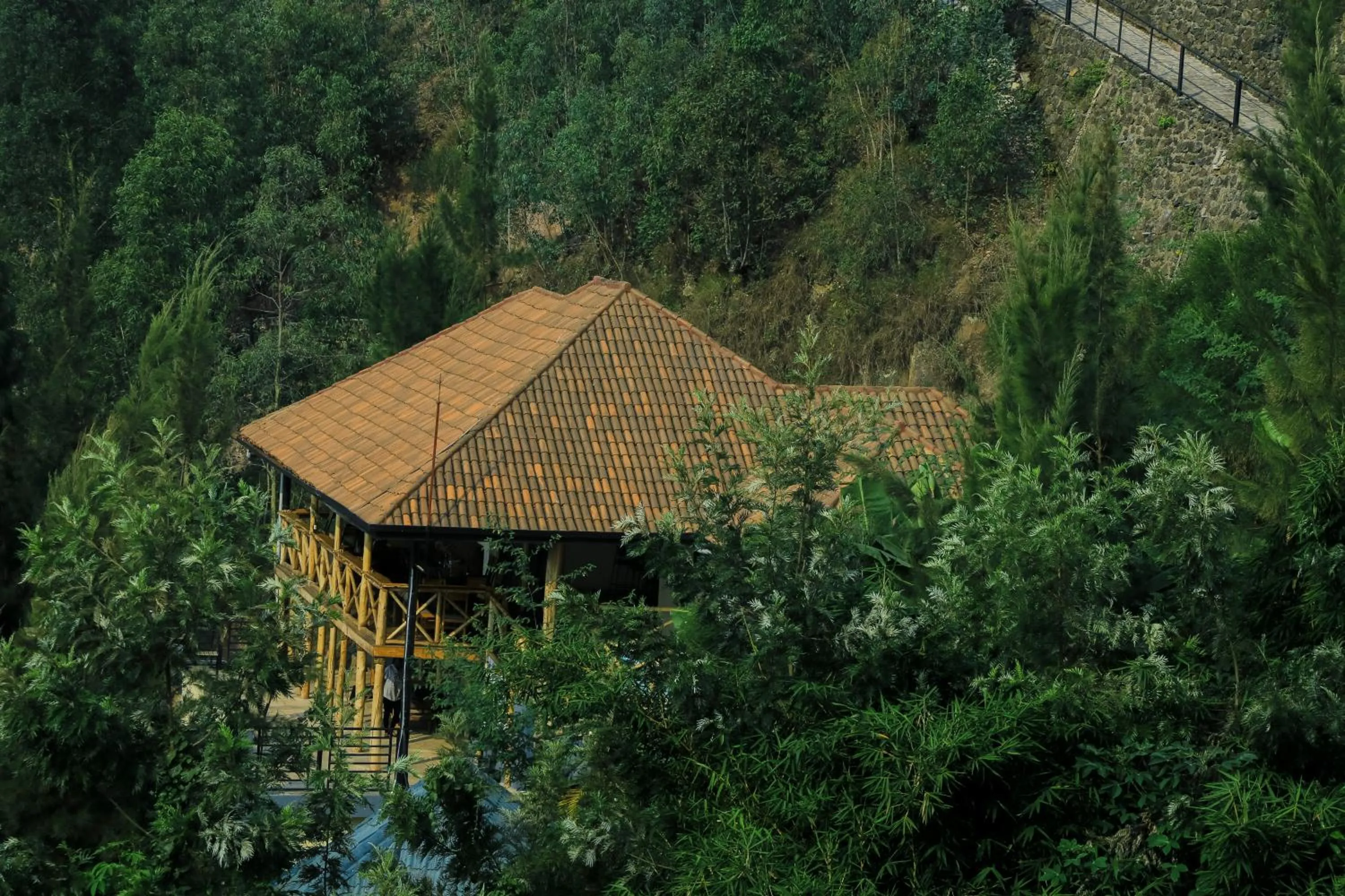 My Hill Eco Lodge