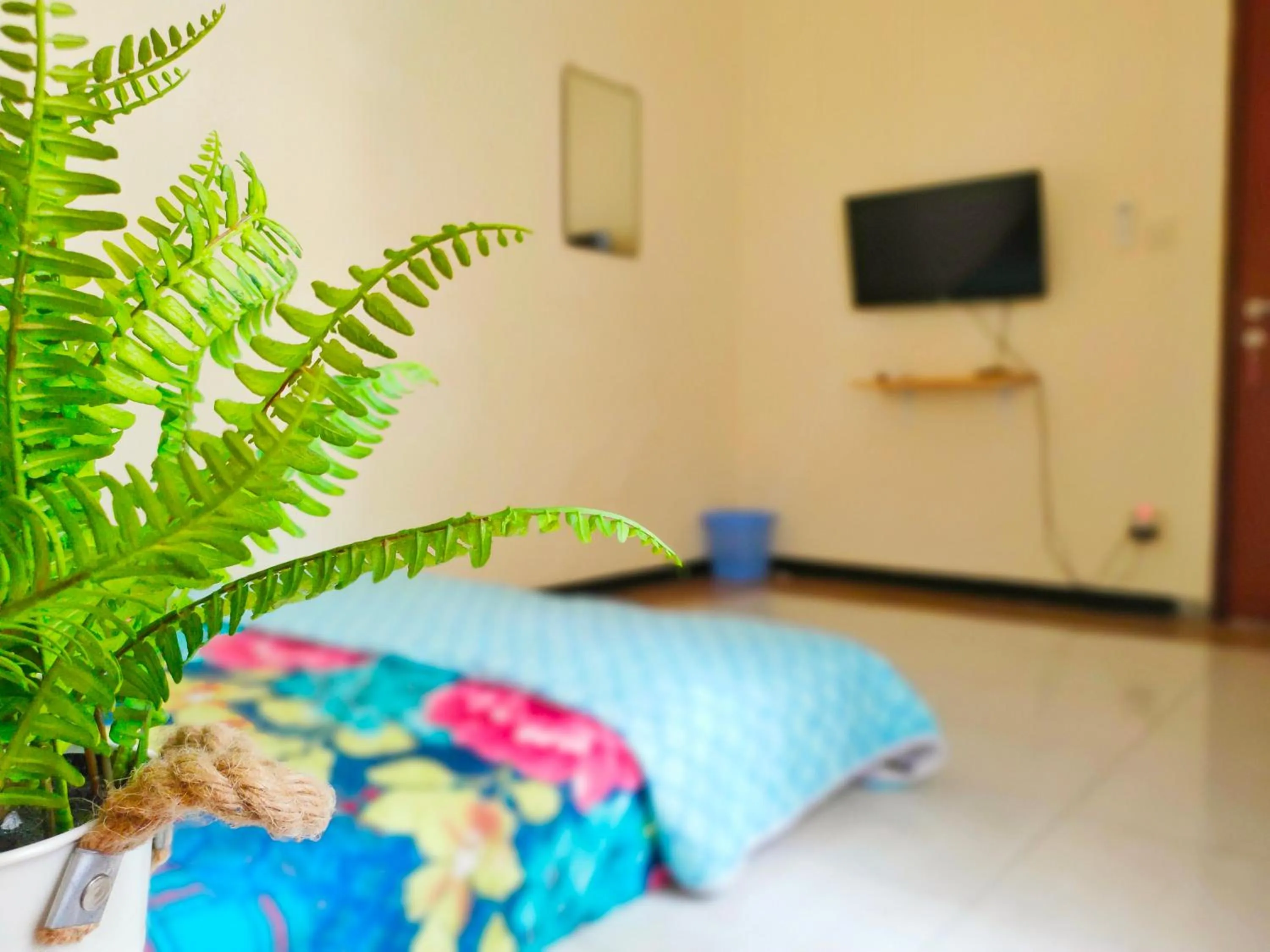 TV and multimedia in Green Surabaya Homey Syariah