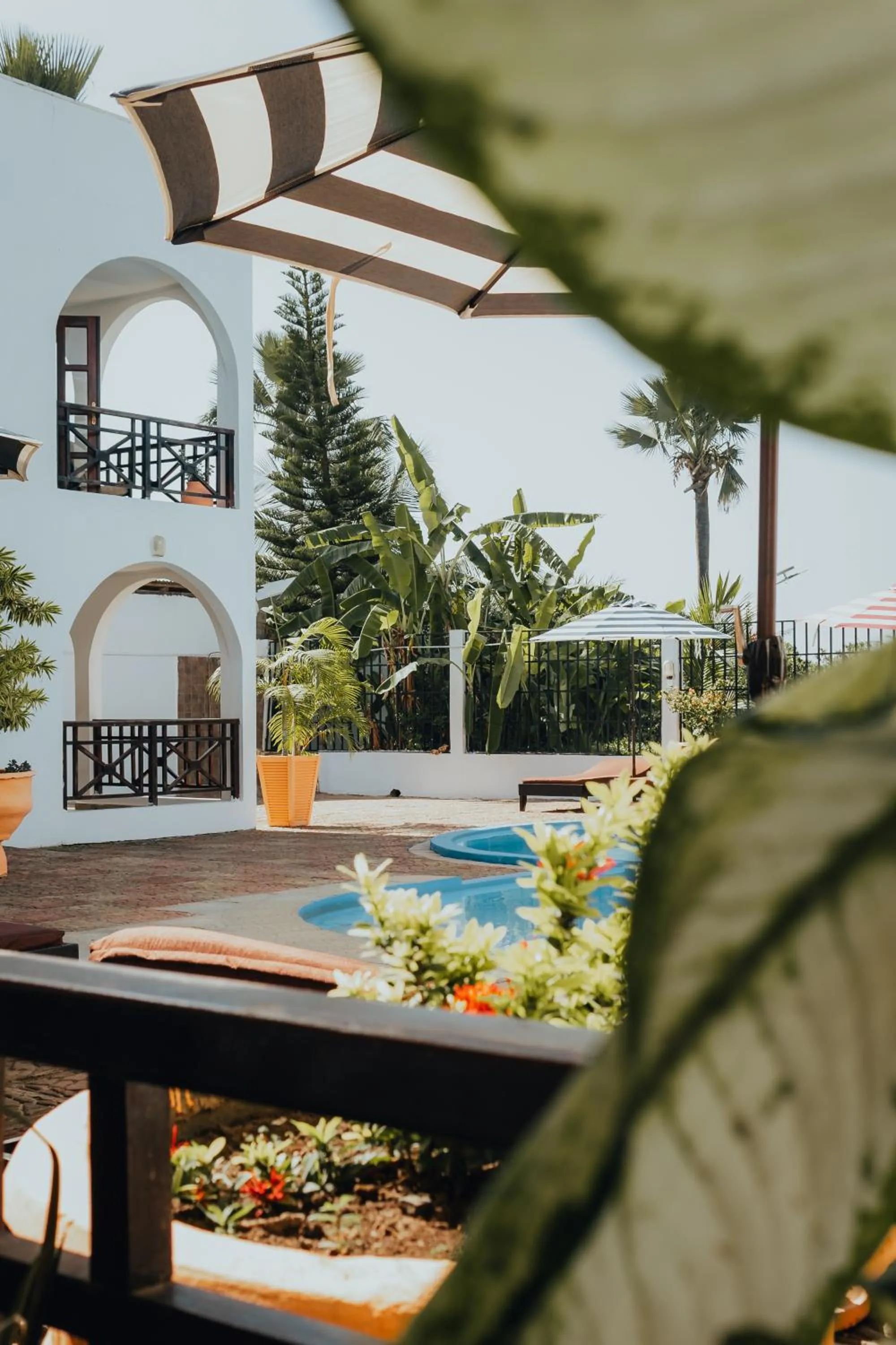 Balcony/Terrace in Harmony Resort Boutique Hotel