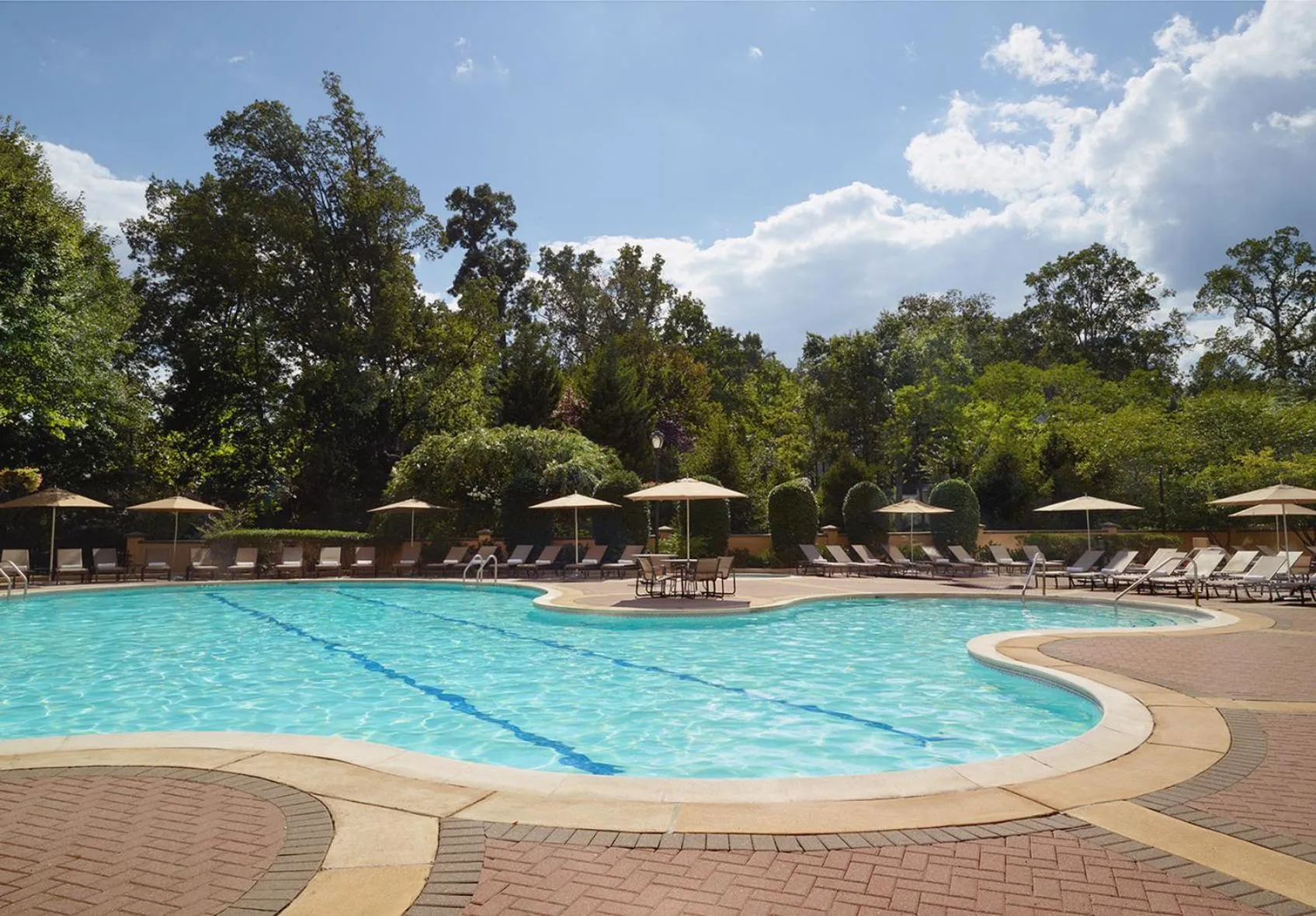 Swimming pool in Omni Shoreham Hotel