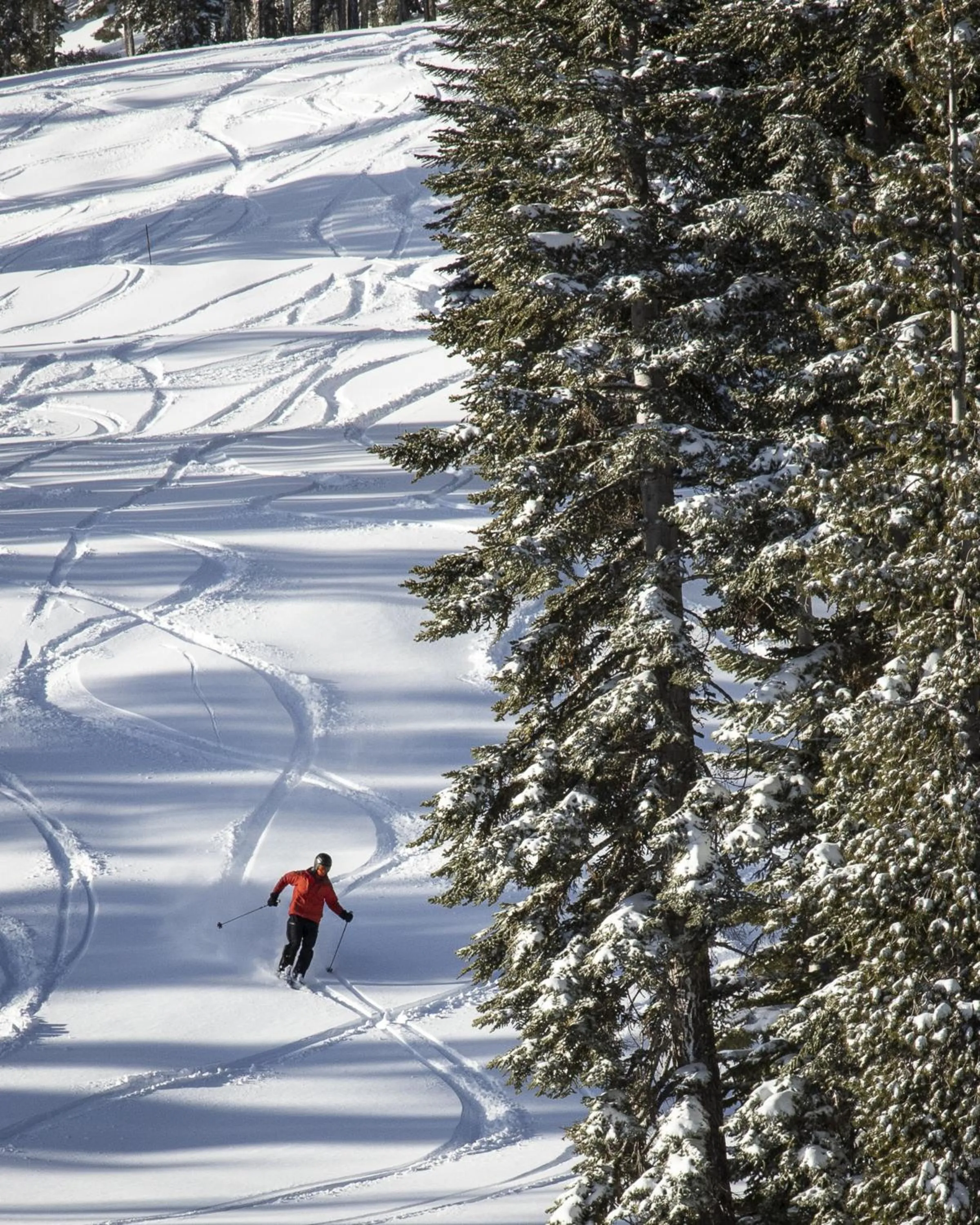 Skiing in Northstar California Resort