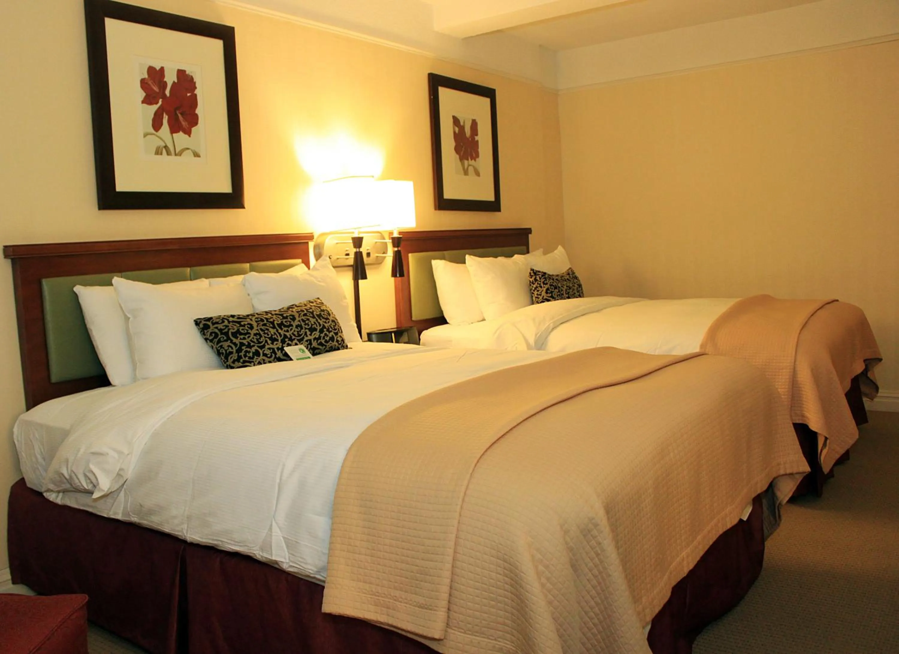 Bed in San Carlos Hotel New York