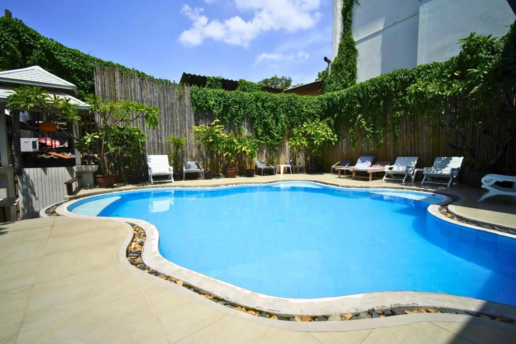 Swimming pool in Wild Orchid Villa Bangkok