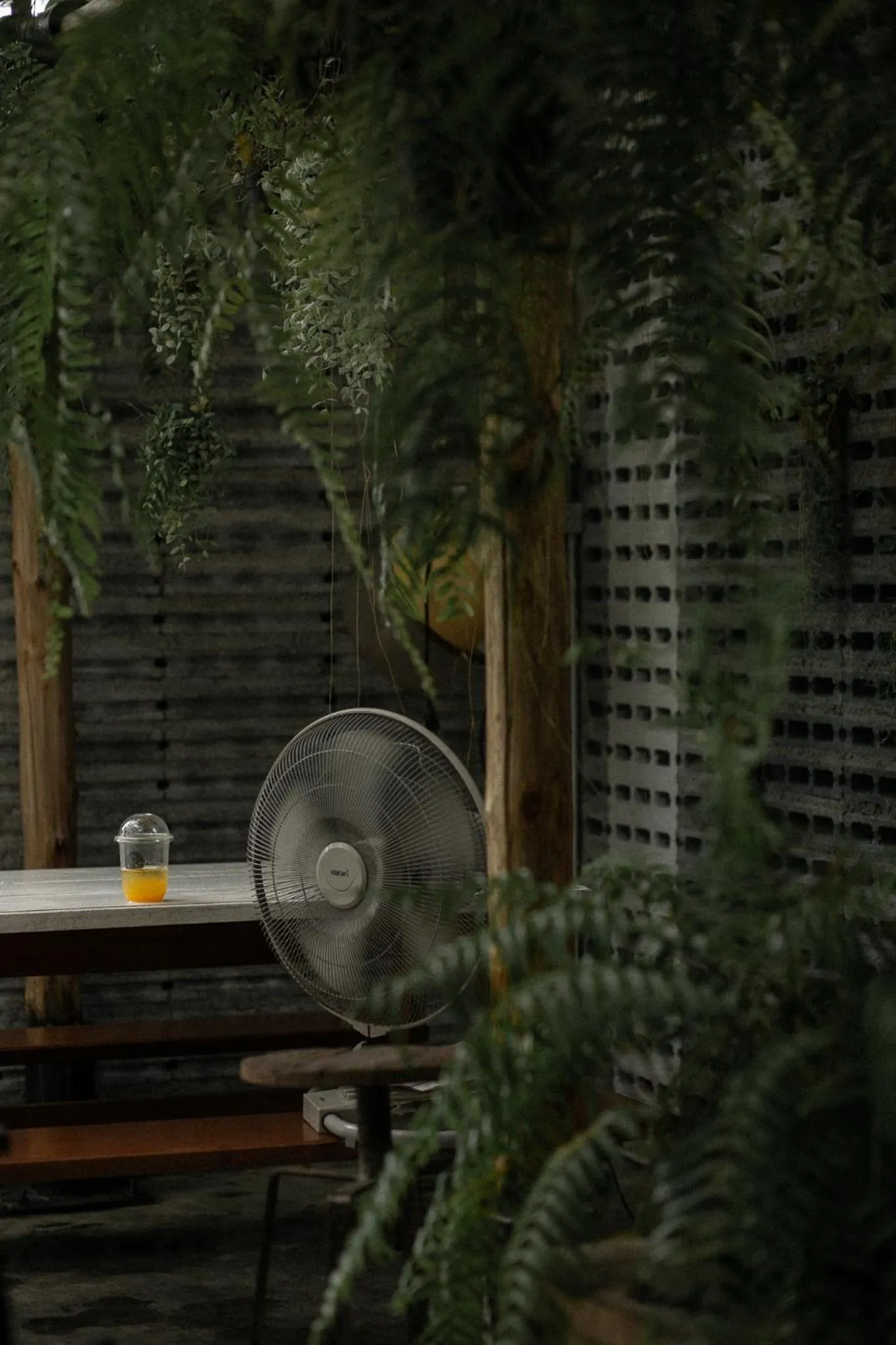 Restaurant/places to eat in Baannokhook Home&Cafe