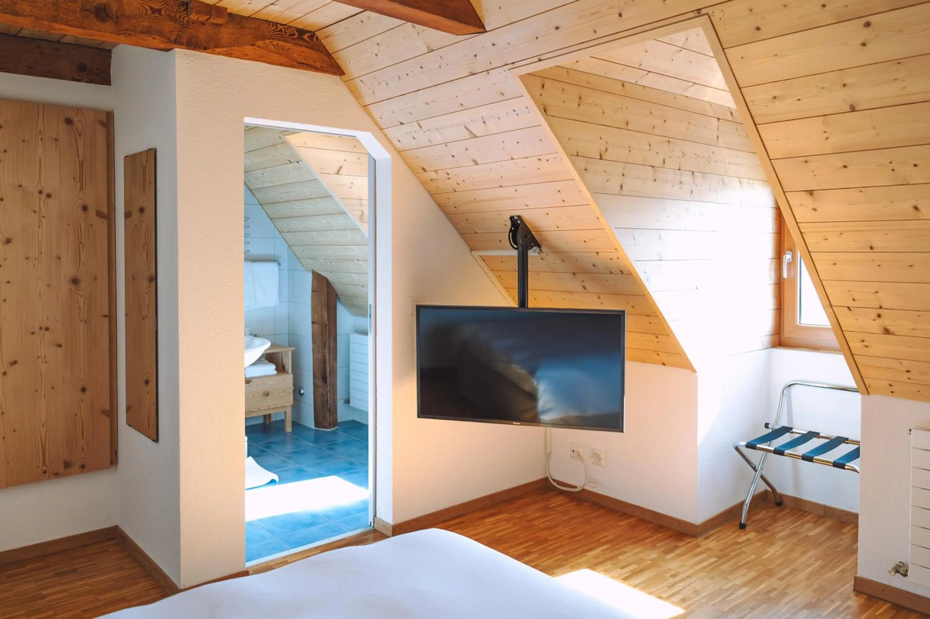 TV and multimedia, Bed in Les Montagnards