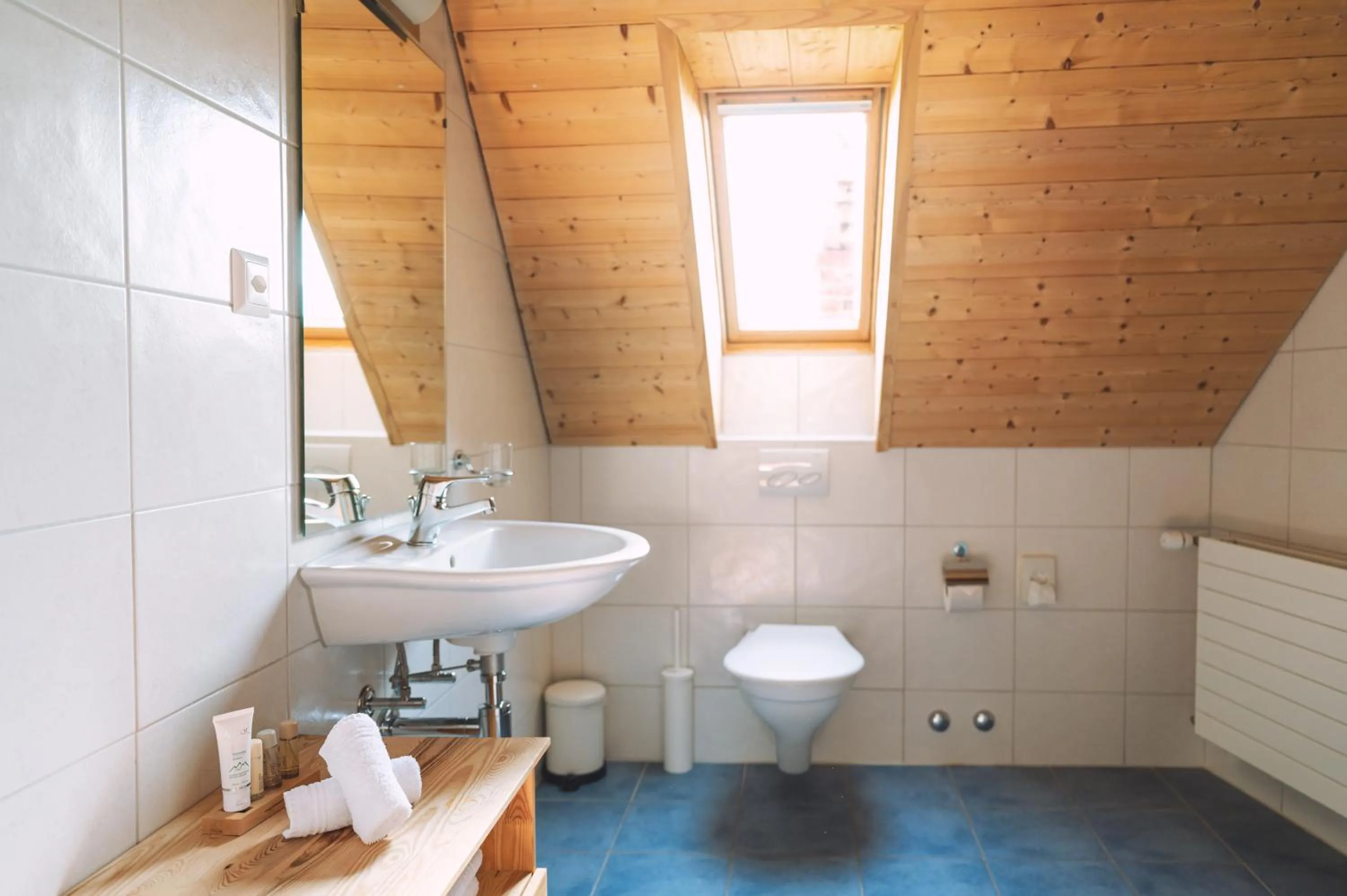 Bathroom in Les Montagnards