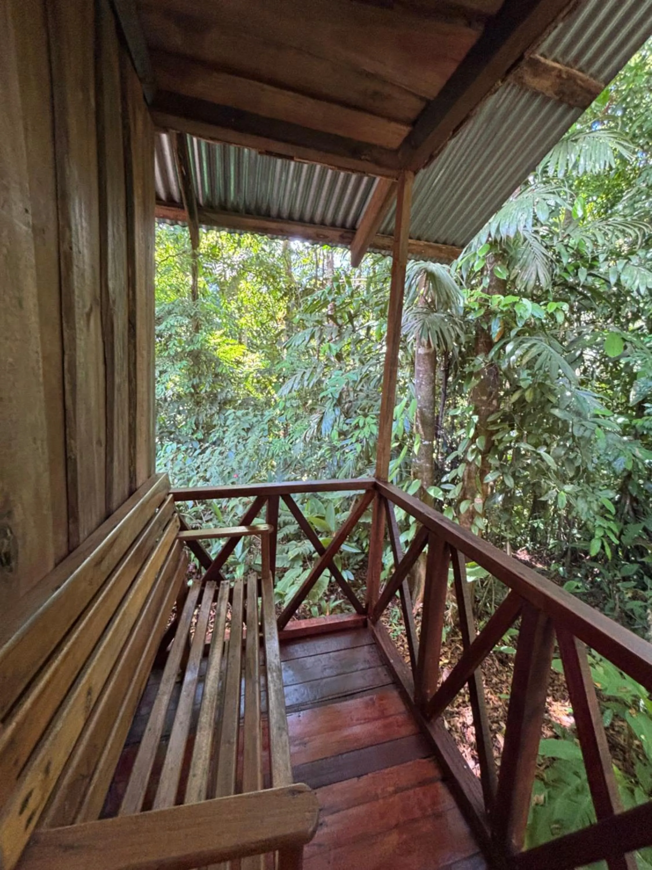 Balcony/Terrace in Citronela Lodge Corcovado