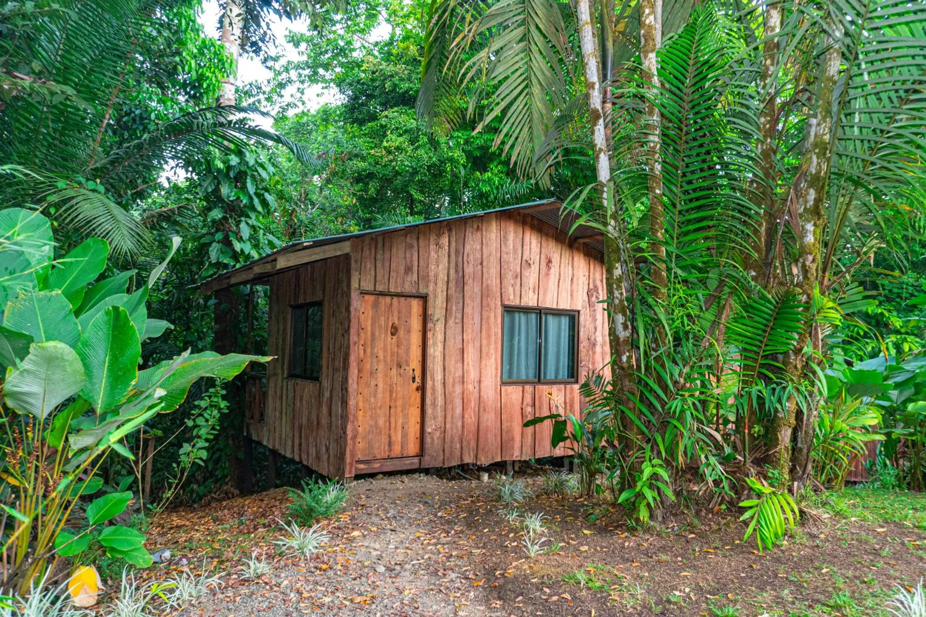 Garden view in Citronela Lodge Corcovado