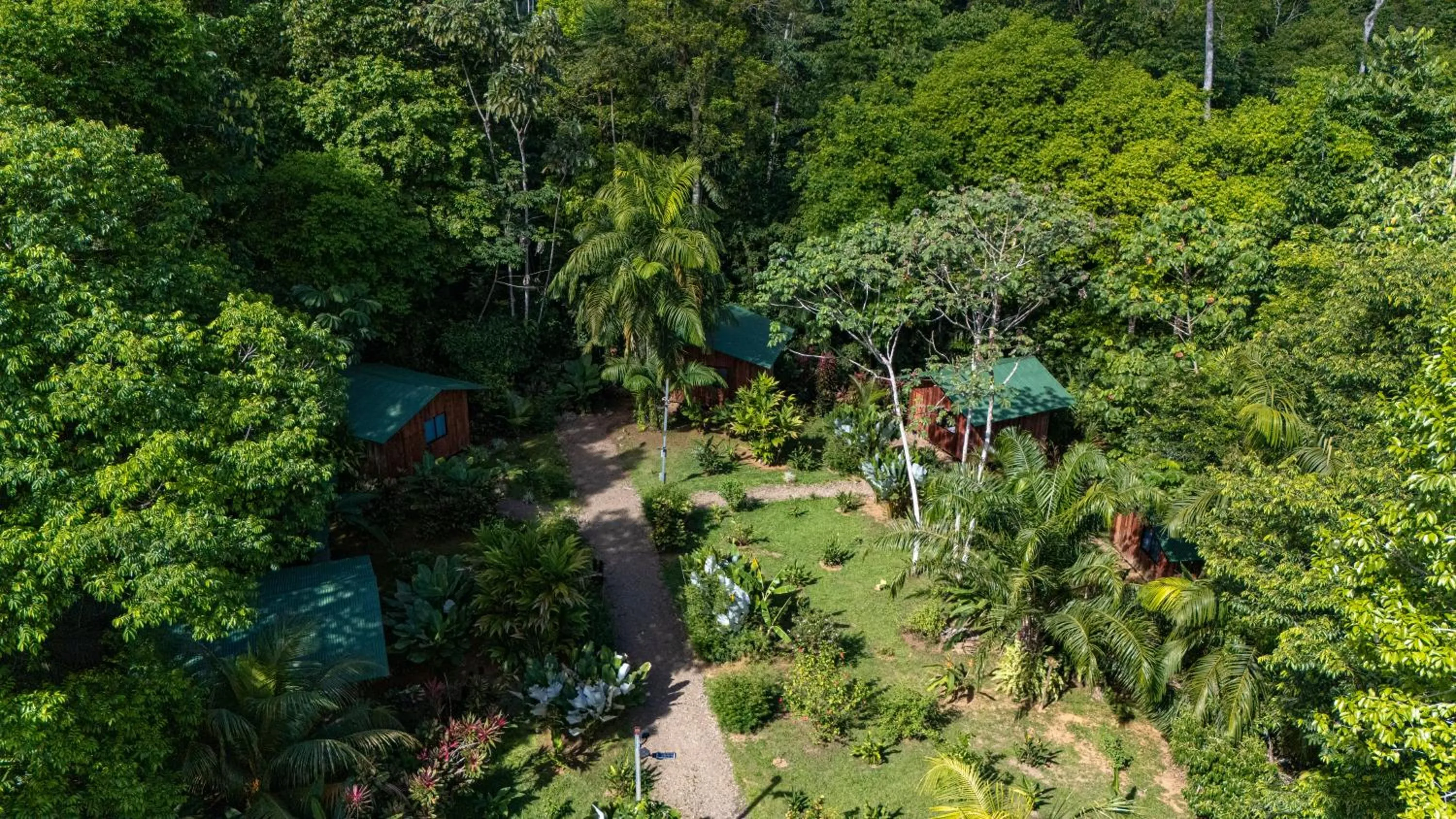 Natural landscape in Citronela Lodge Corcovado