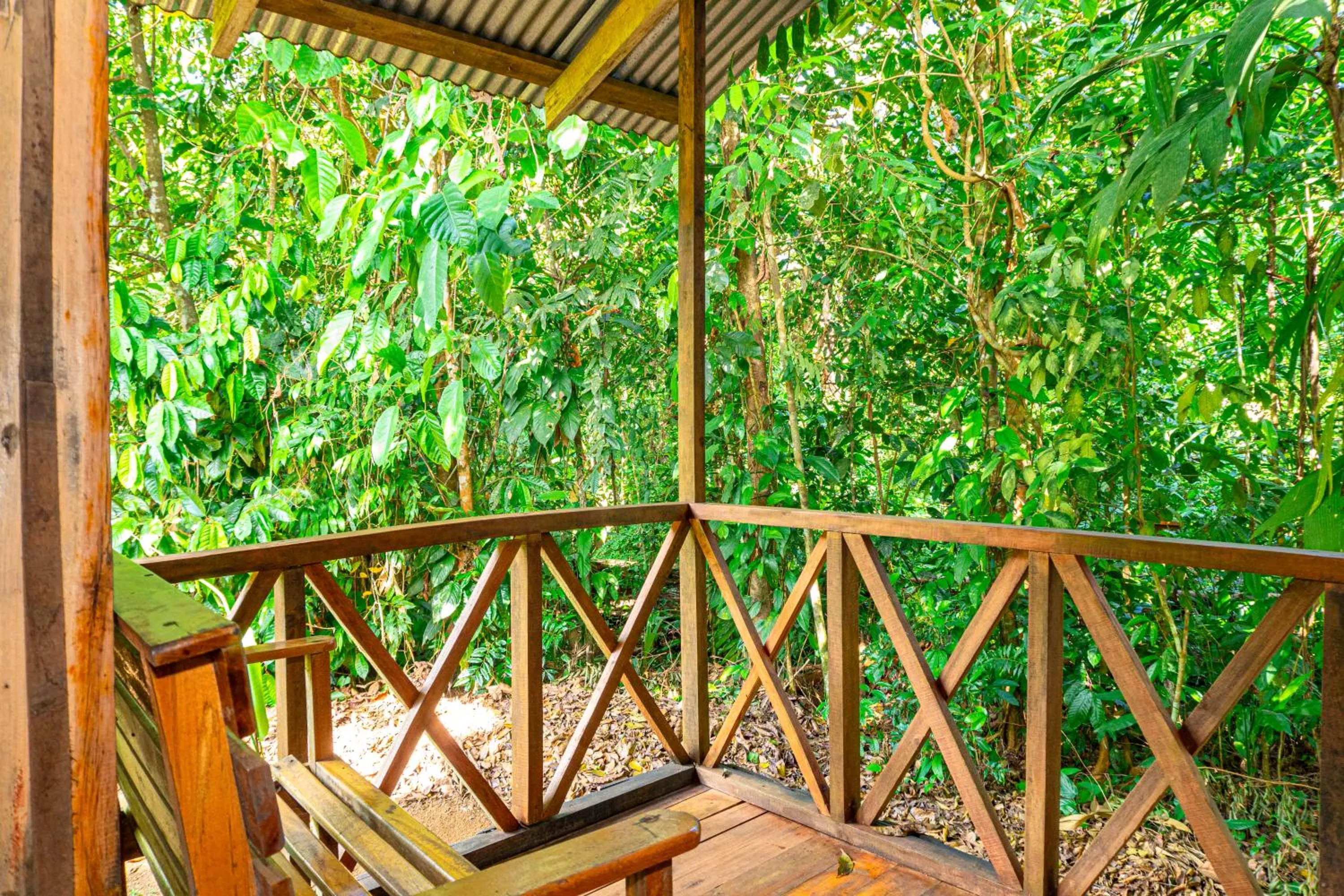 Balcony/Terrace in Citronela Lodge Corcovado