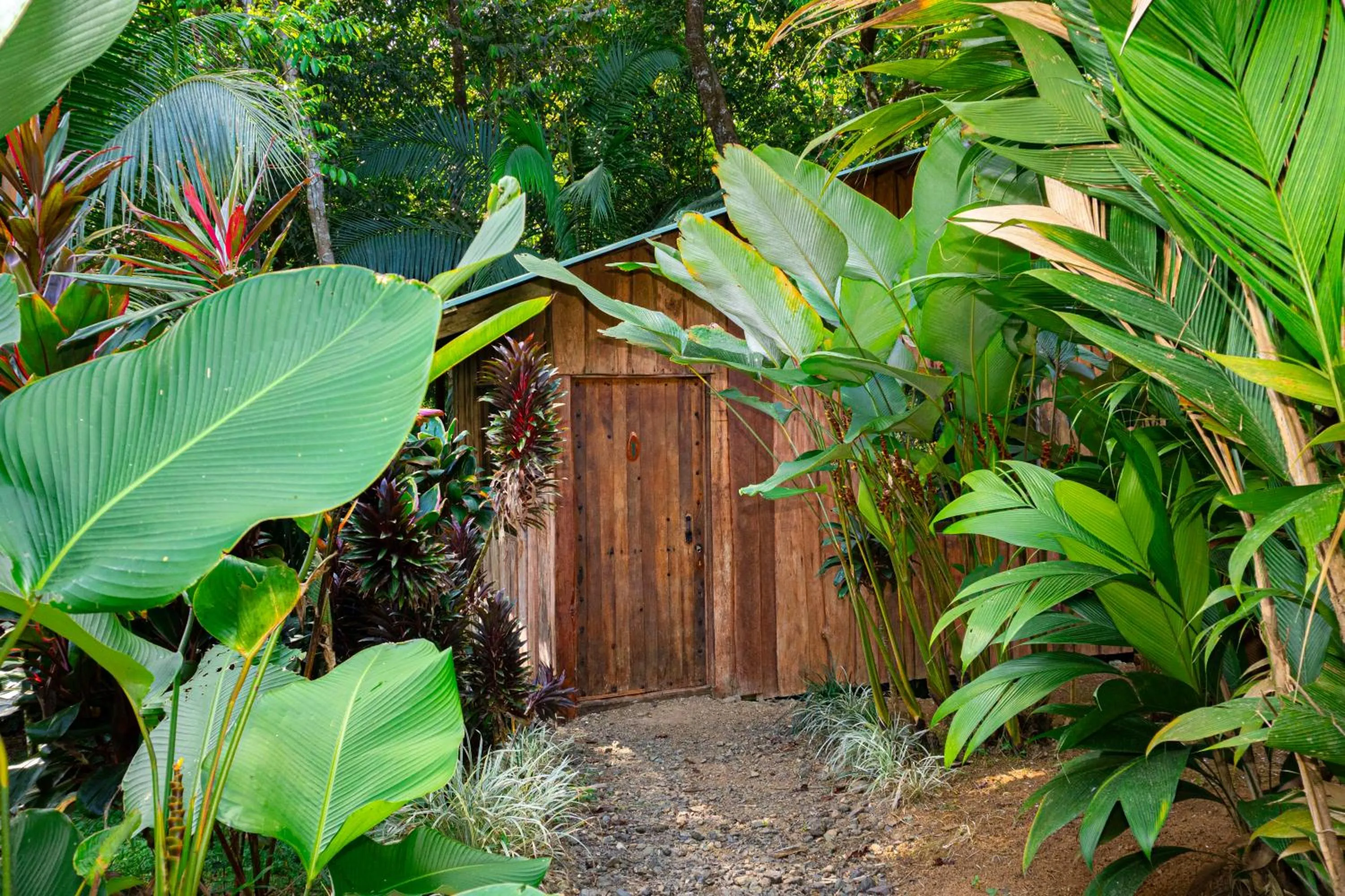 Garden in Citronela Lodge Corcovado