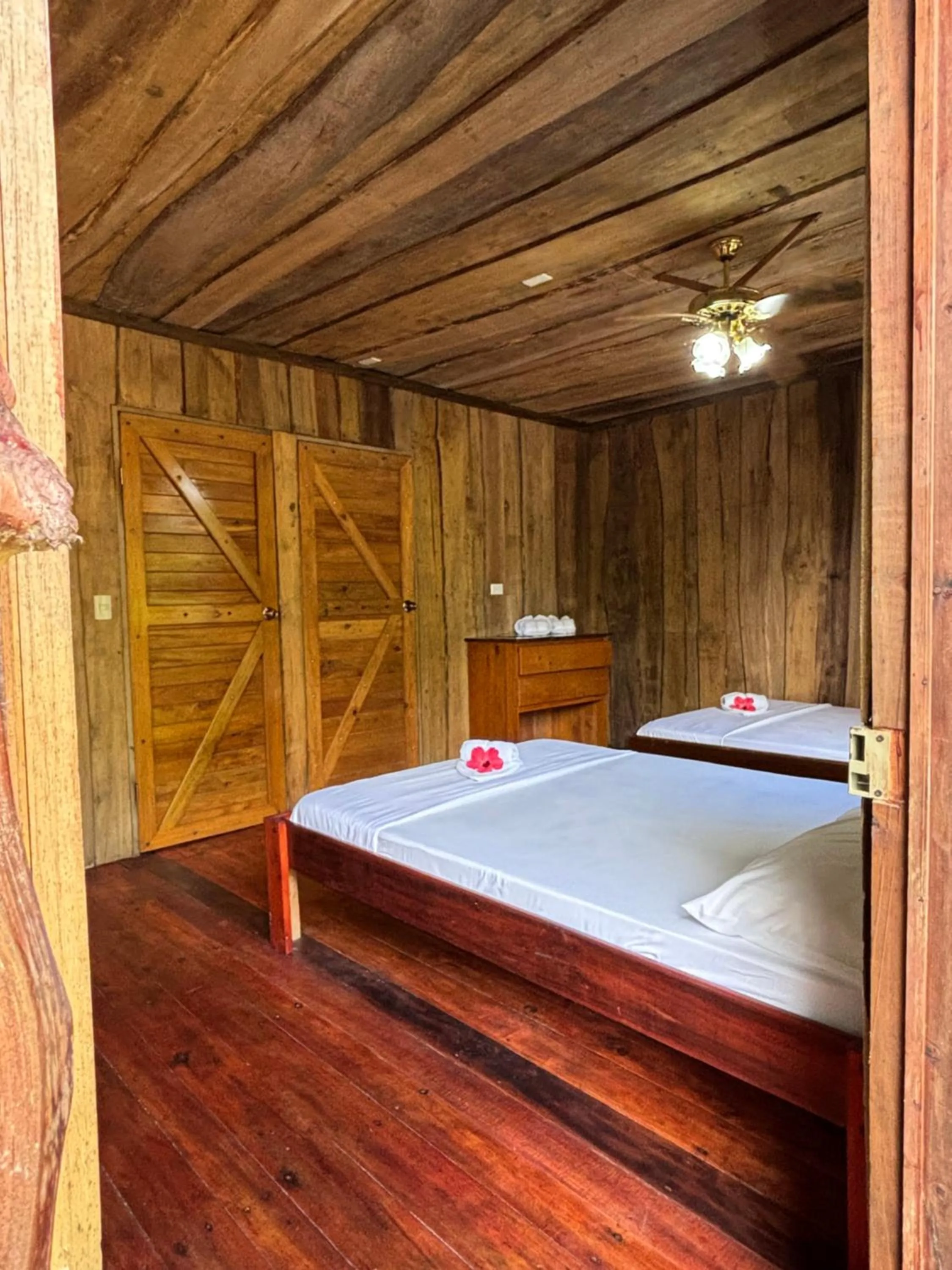 Photo of the whole room, Bed in Citronela Lodge Corcovado
