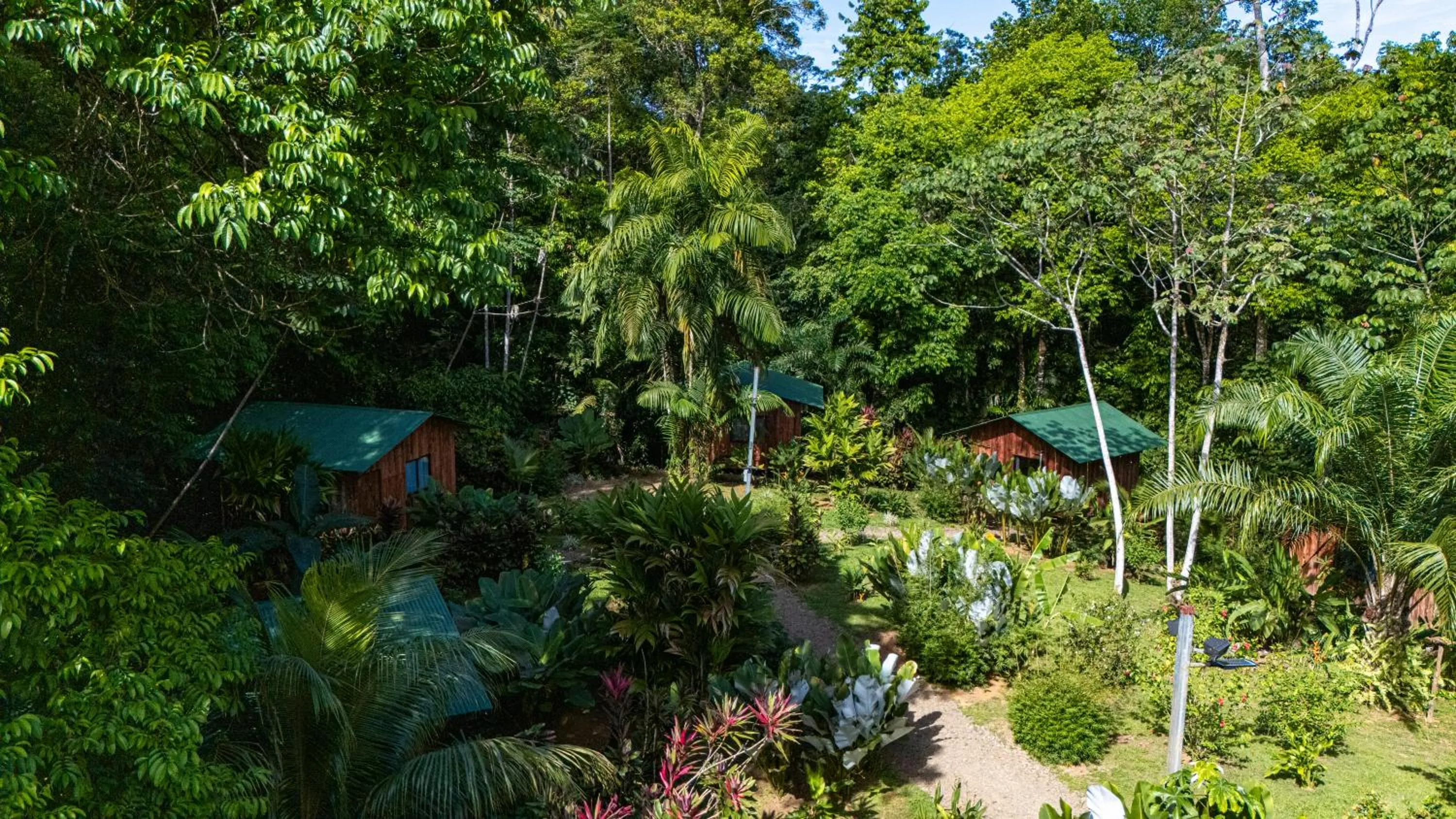 Natural landscape in Citronela Lodge Corcovado