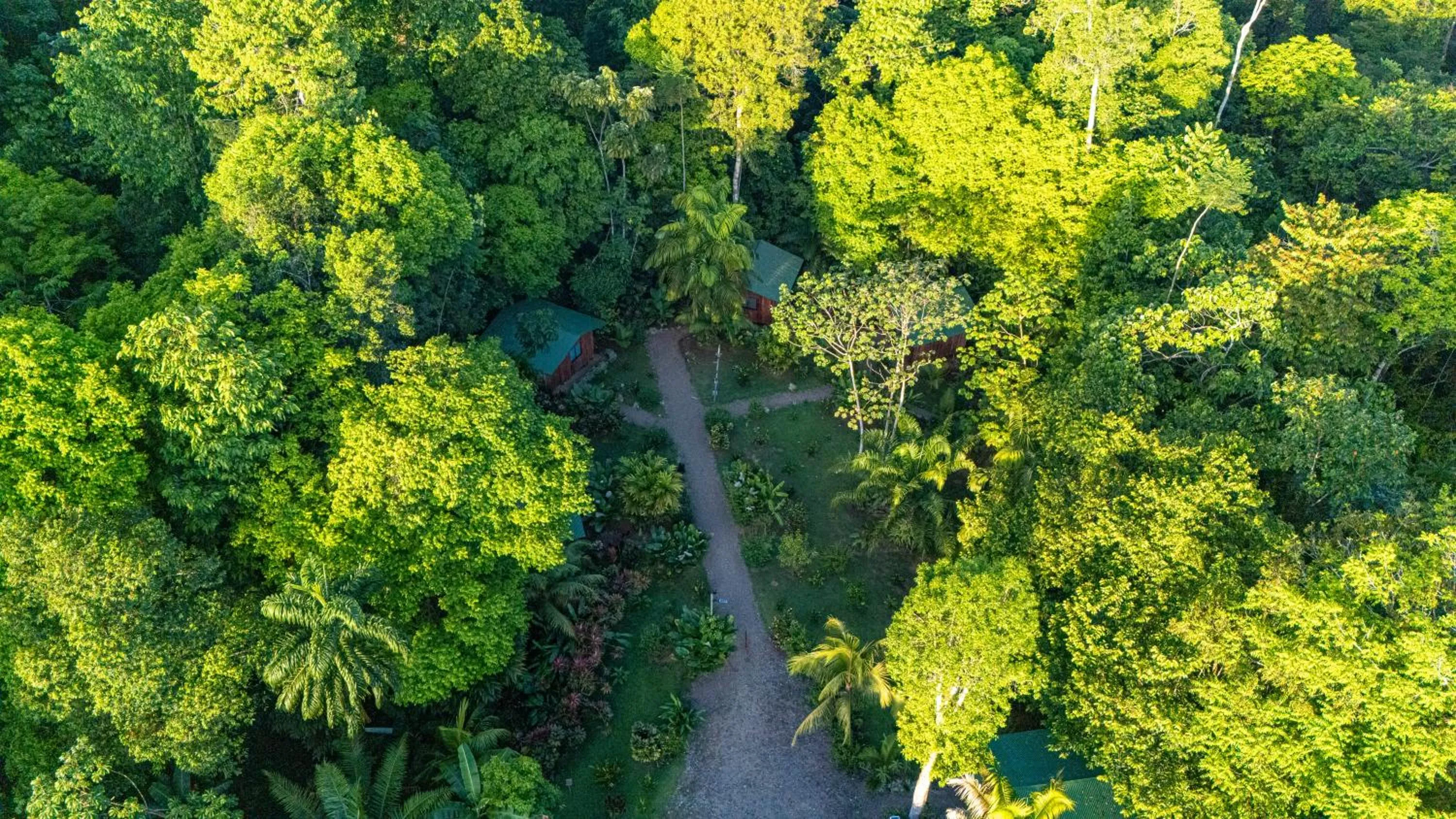 Natural landscape in Citronela Lodge Corcovado