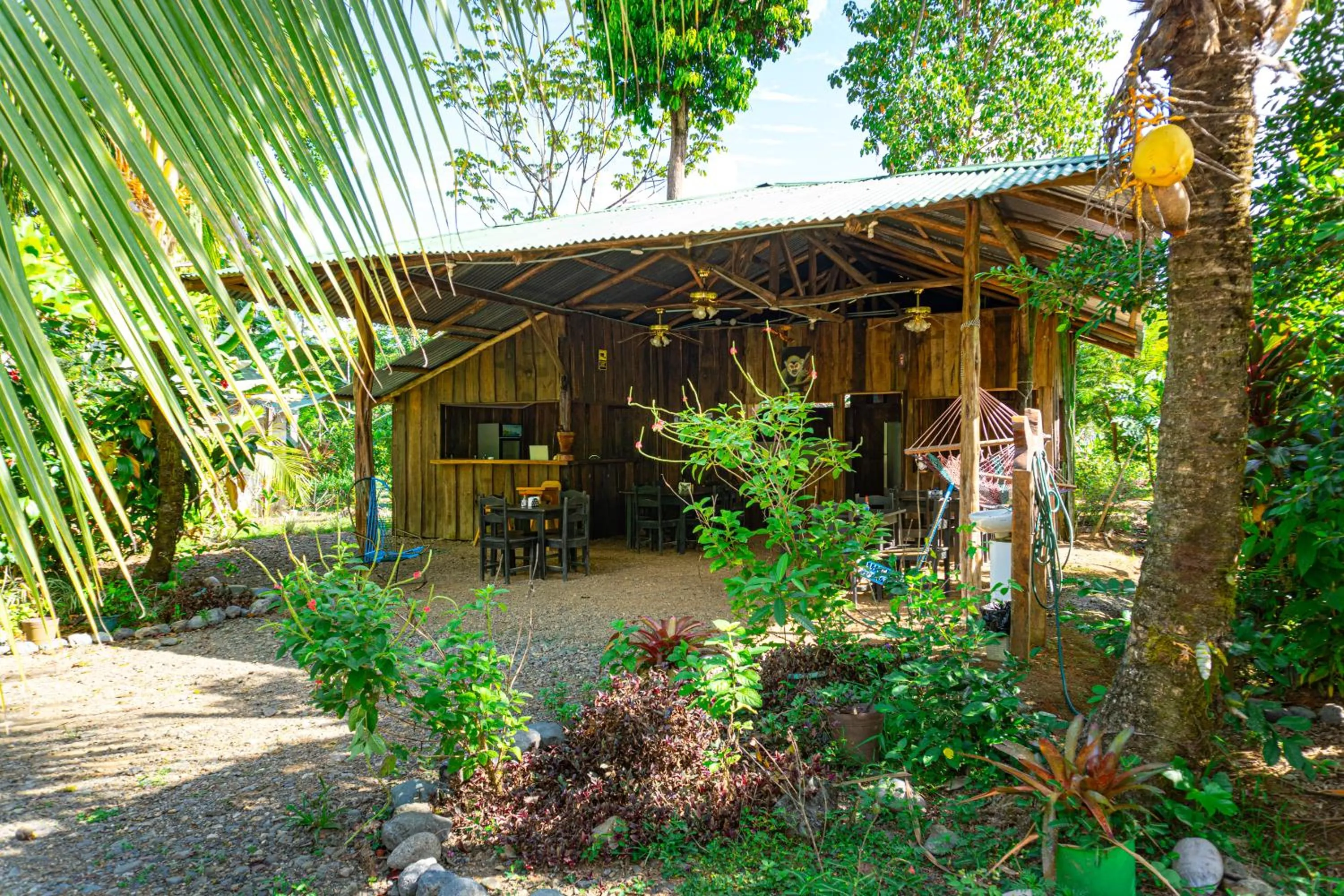 Restaurant/places to eat in Citronela Lodge Corcovado