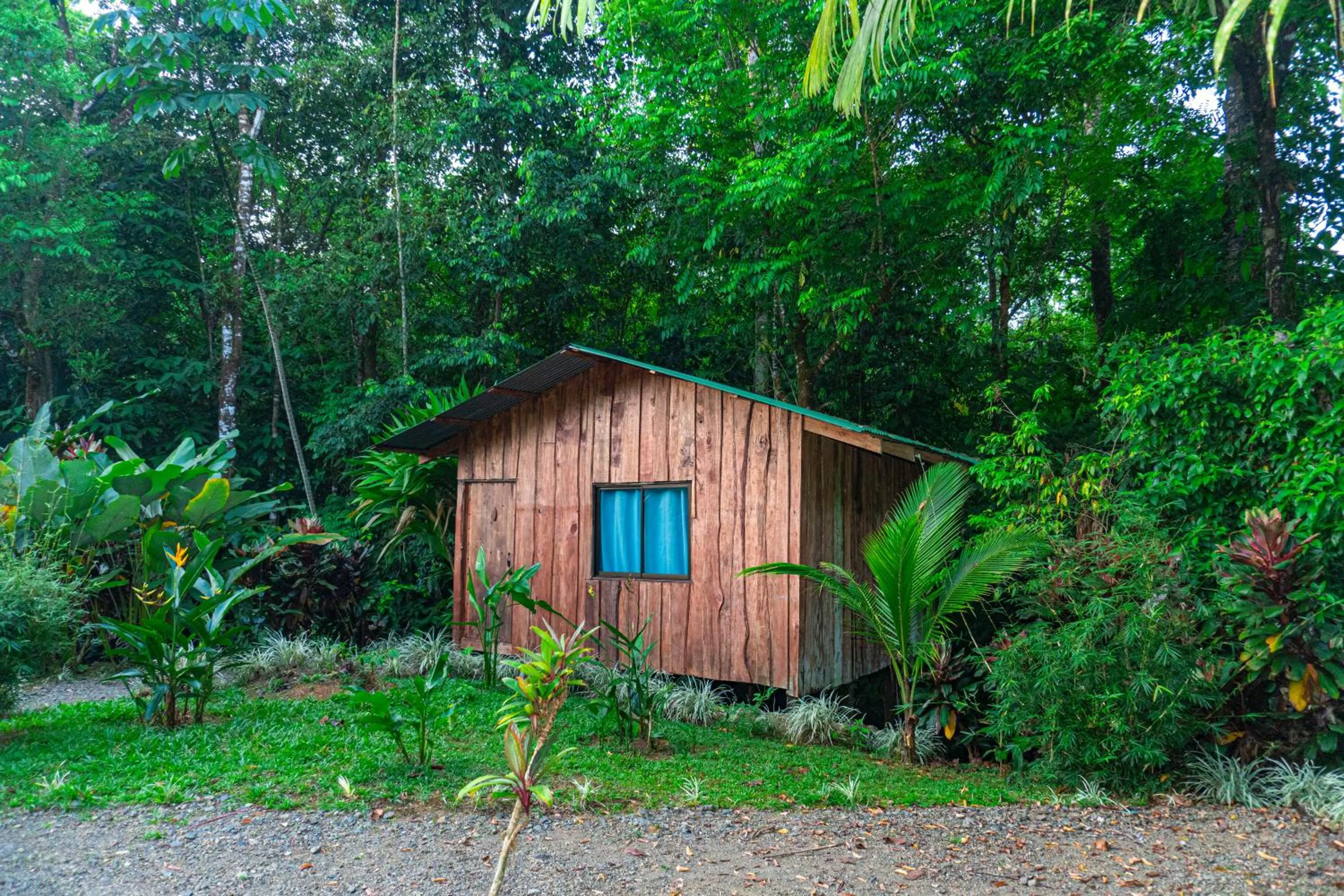 View (from property/room) in Citronela Lodge Corcovado