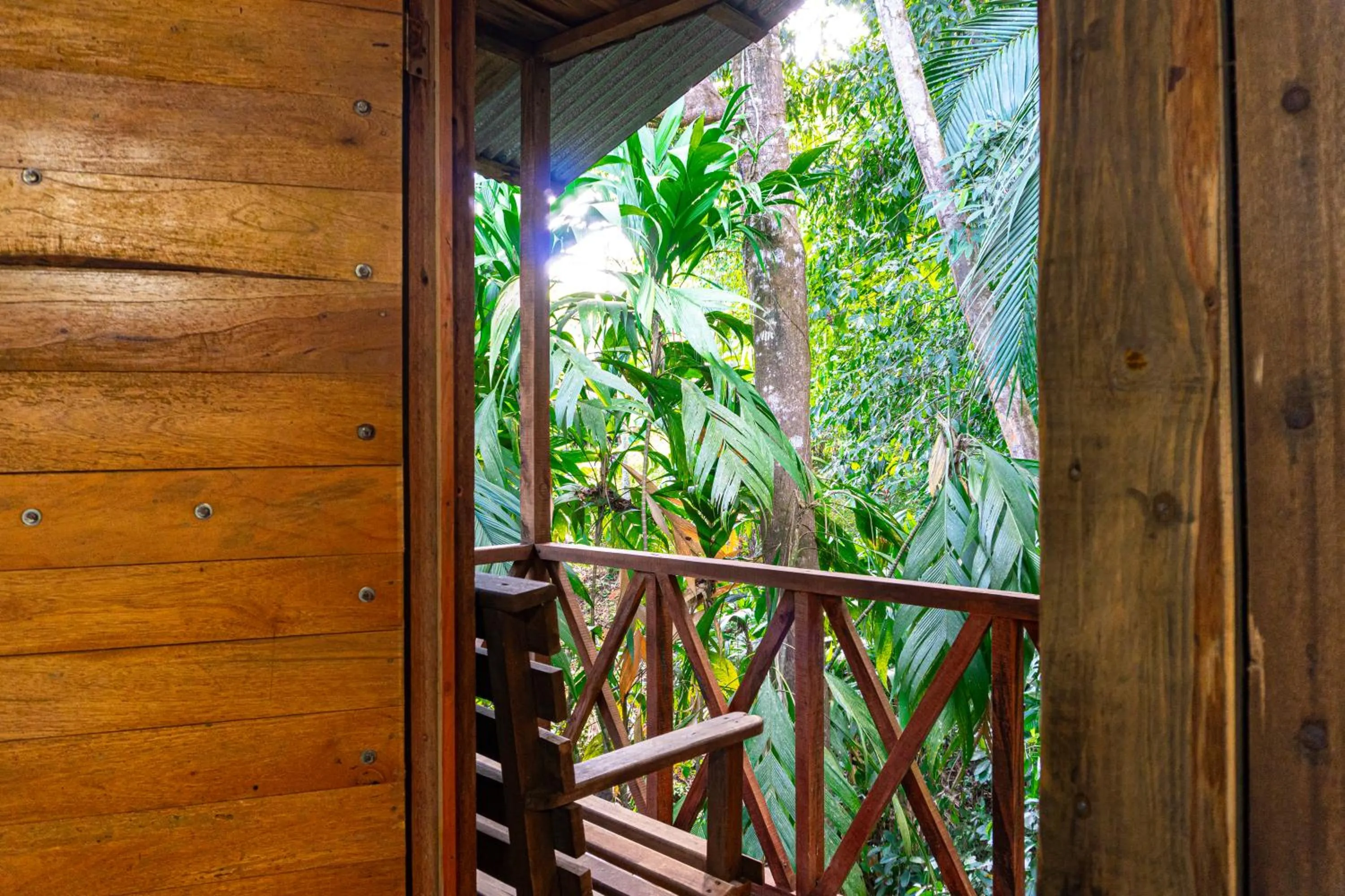 Balcony/Terrace in Citronela Lodge Corcovado