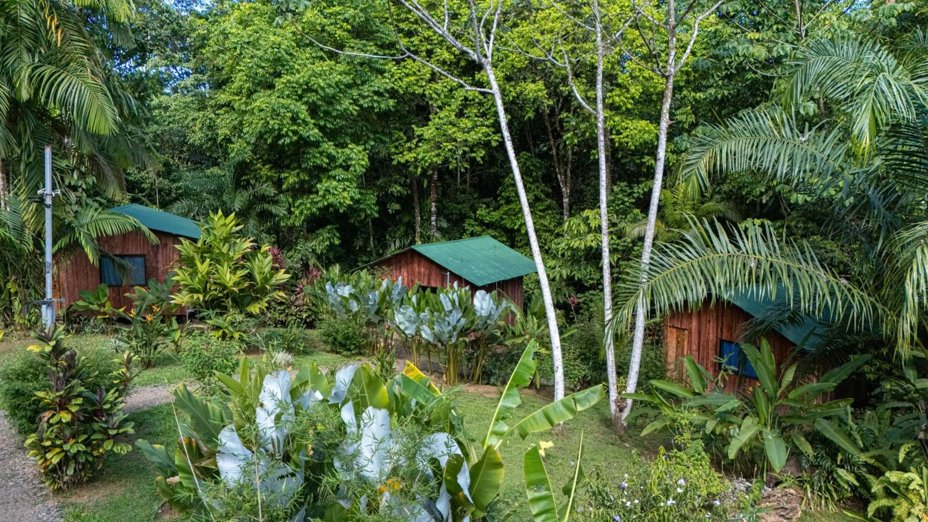 Natural landscape in Citronela Lodge Corcovado