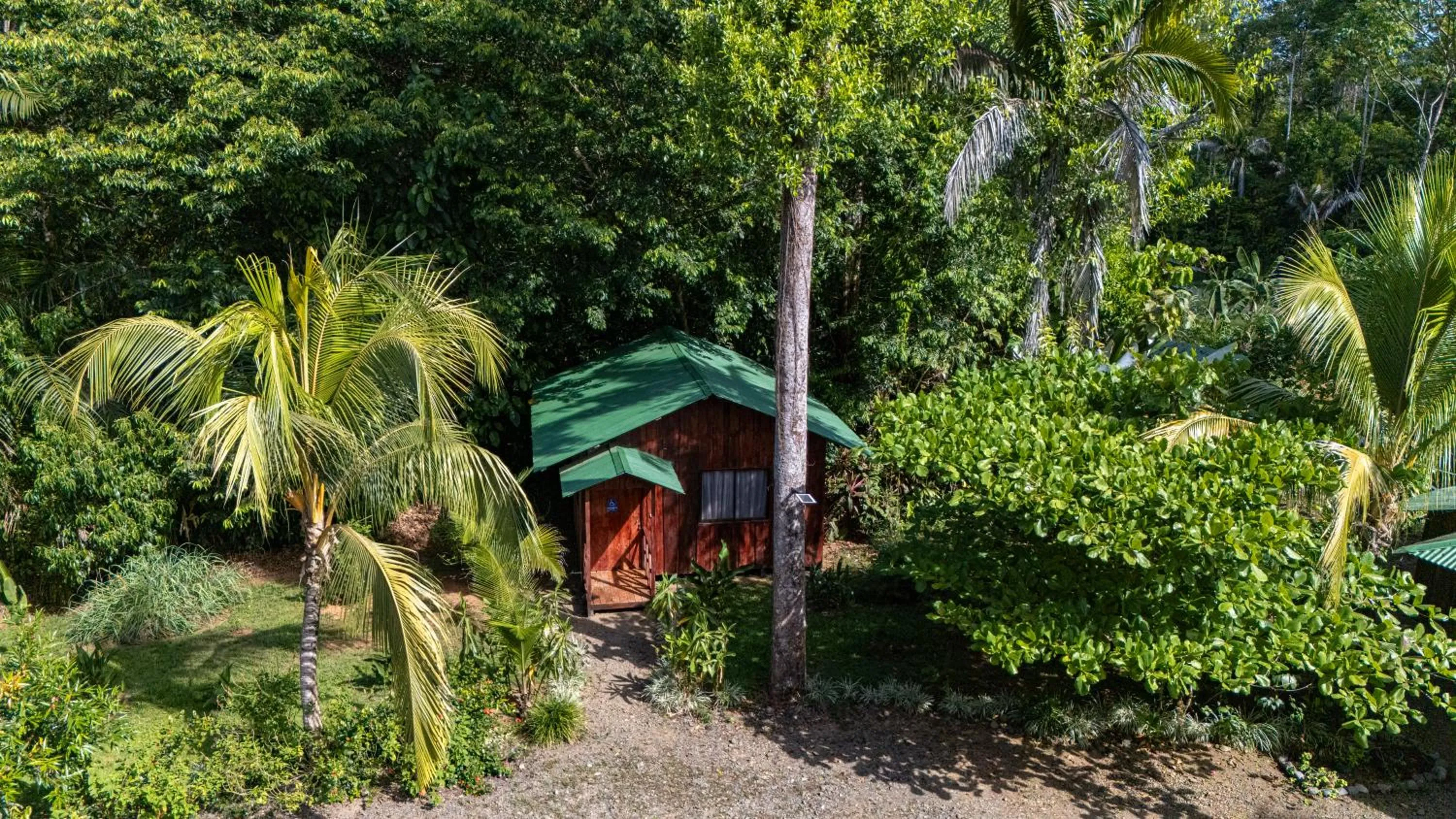 Natural landscape in Citronela Lodge Corcovado