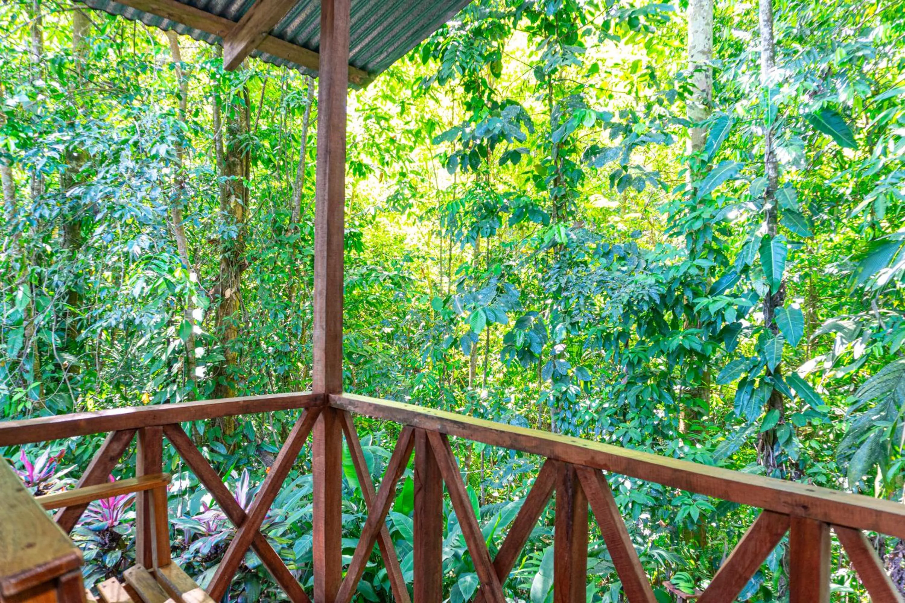 View (from property/room) in Citronela Lodge Corcovado