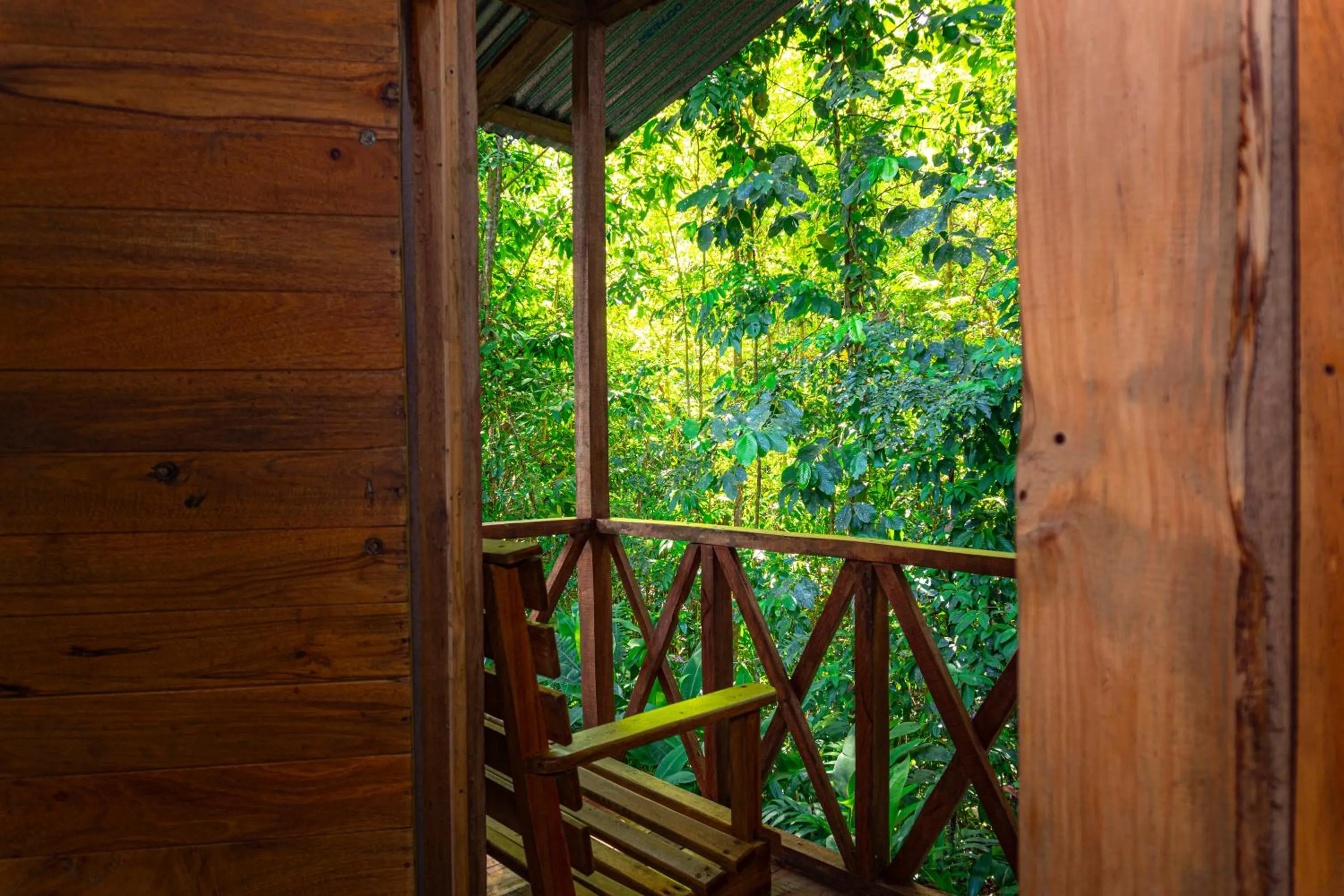 Balcony/Terrace in Citronela Lodge Corcovado