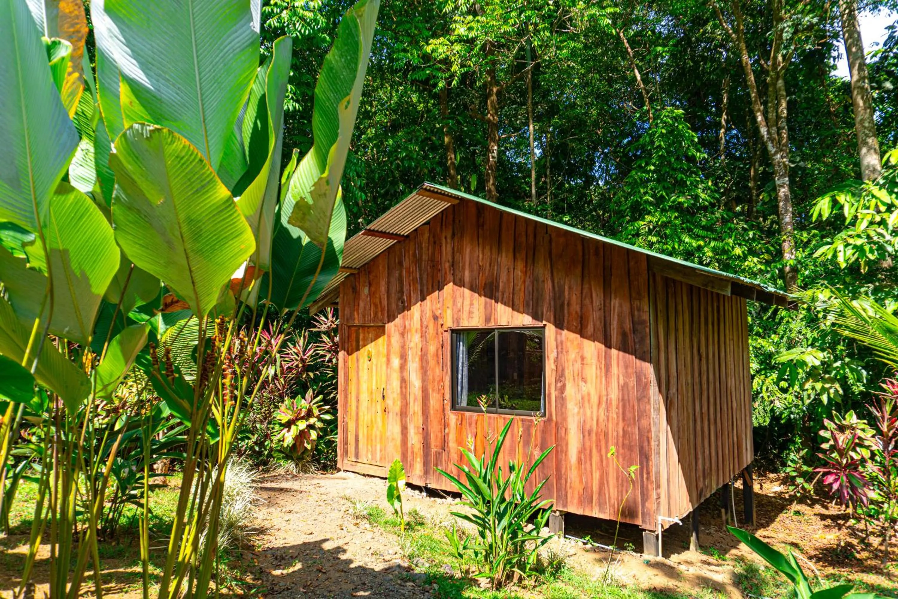 Garden in Citronela Lodge Corcovado