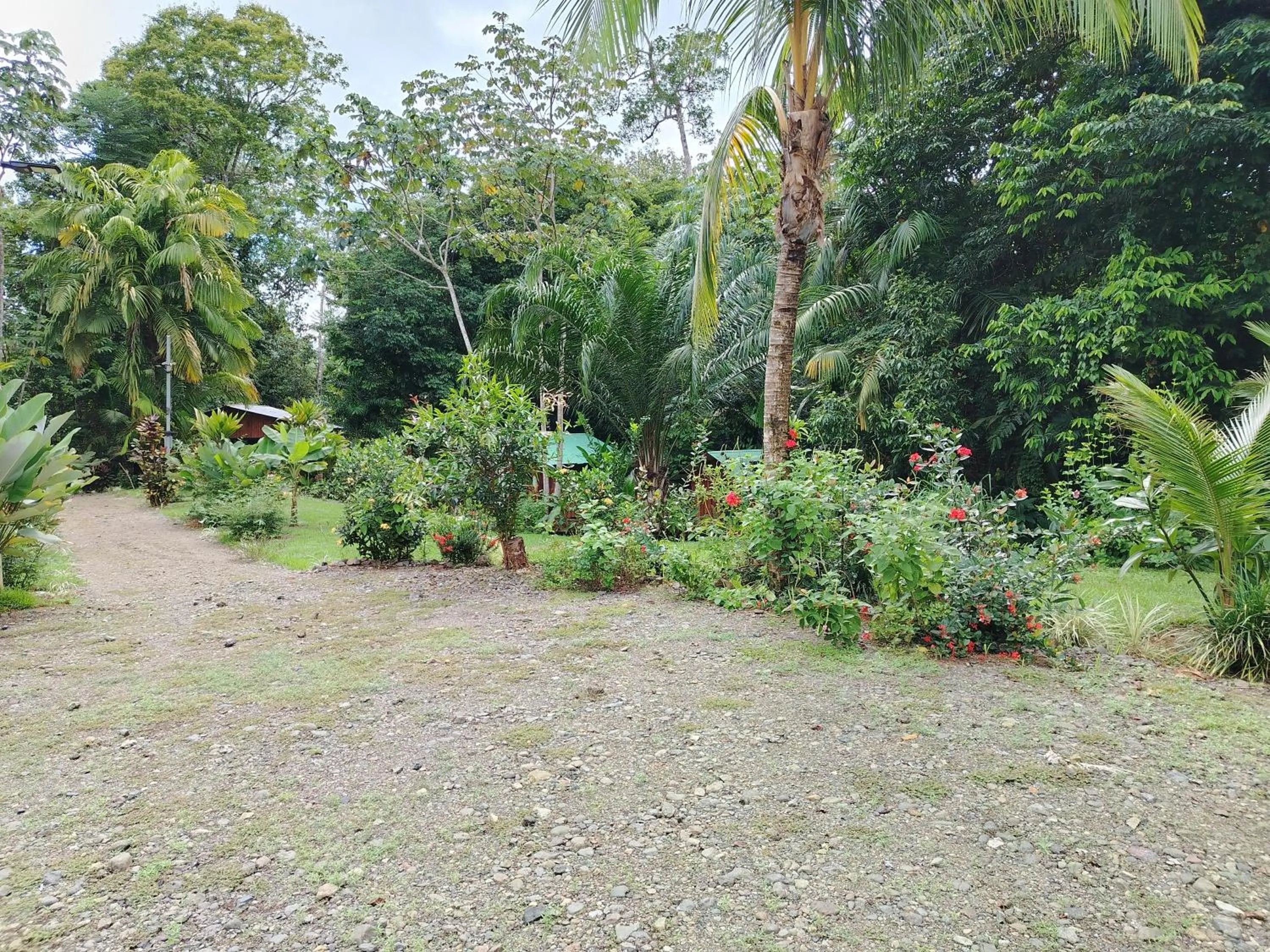 Garden in Citronela Lodge Corcovado