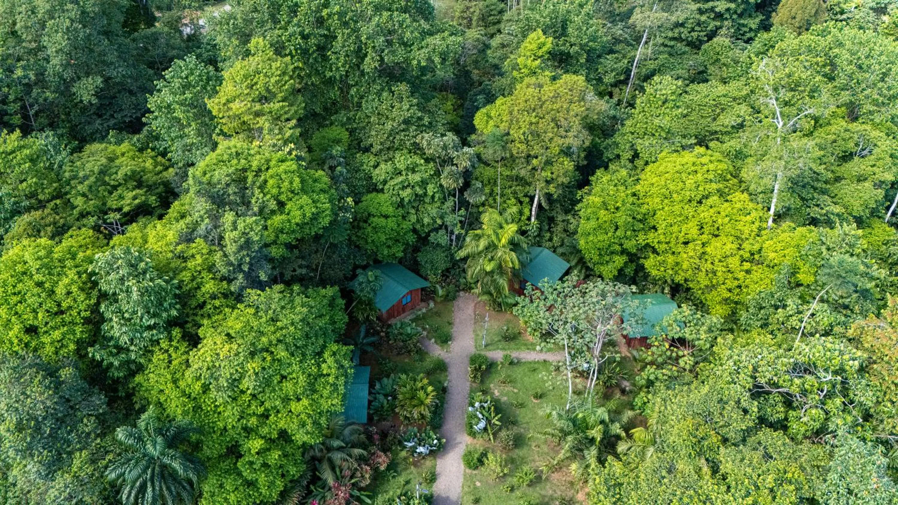 Natural landscape in Citronela Lodge Corcovado