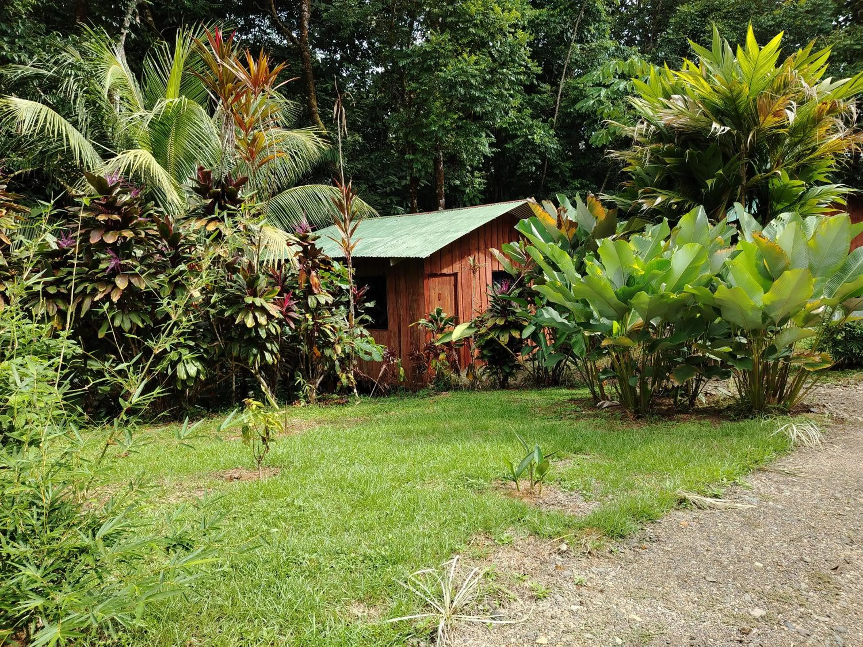 Garden view in Citronela Lodge Corcovado