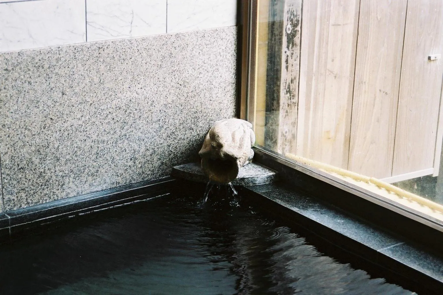 Hot Spring Bath in Hitomaru Kadan
