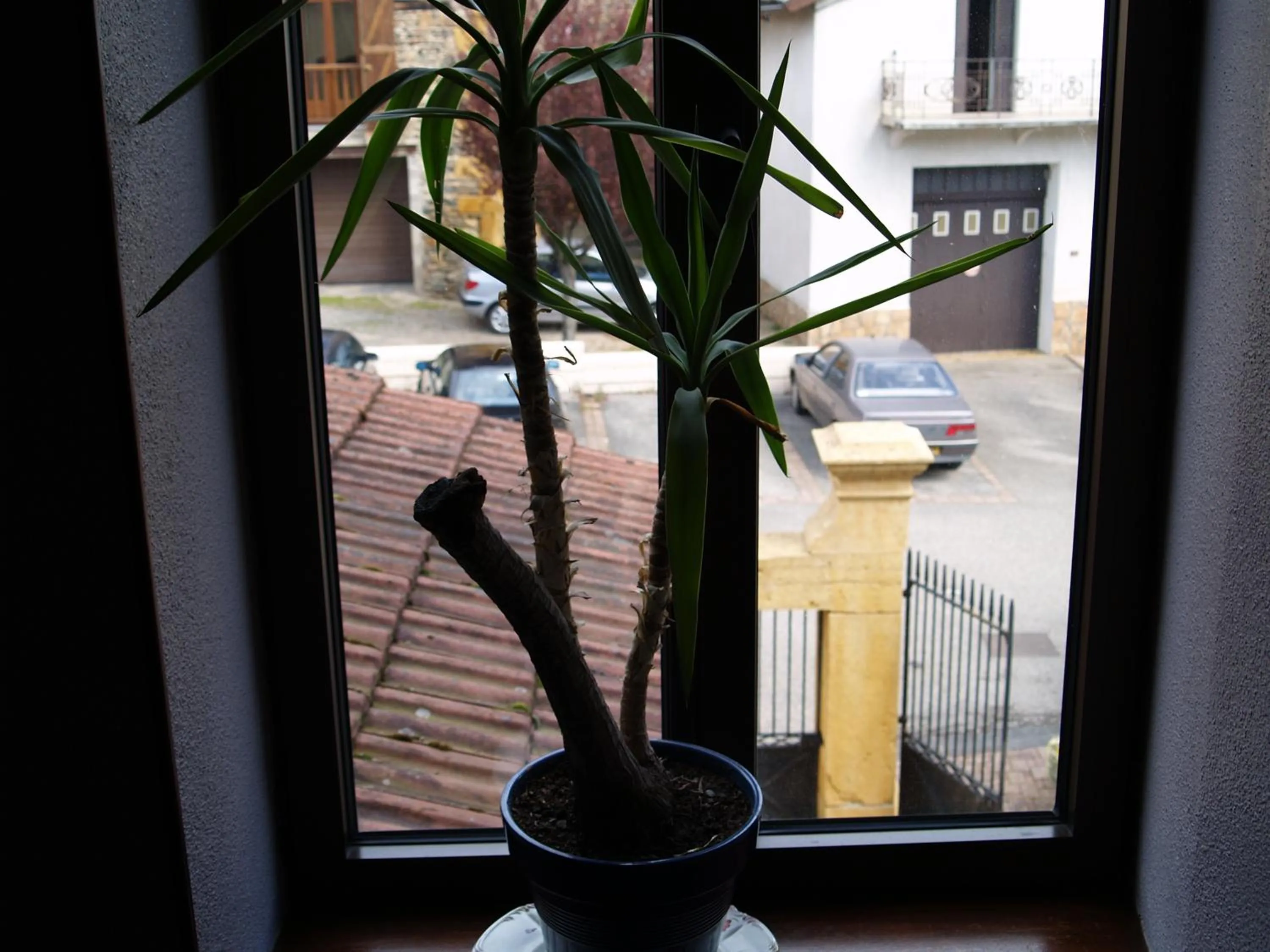 View (from property/room) in Logis Hôtel Le Saint Clément