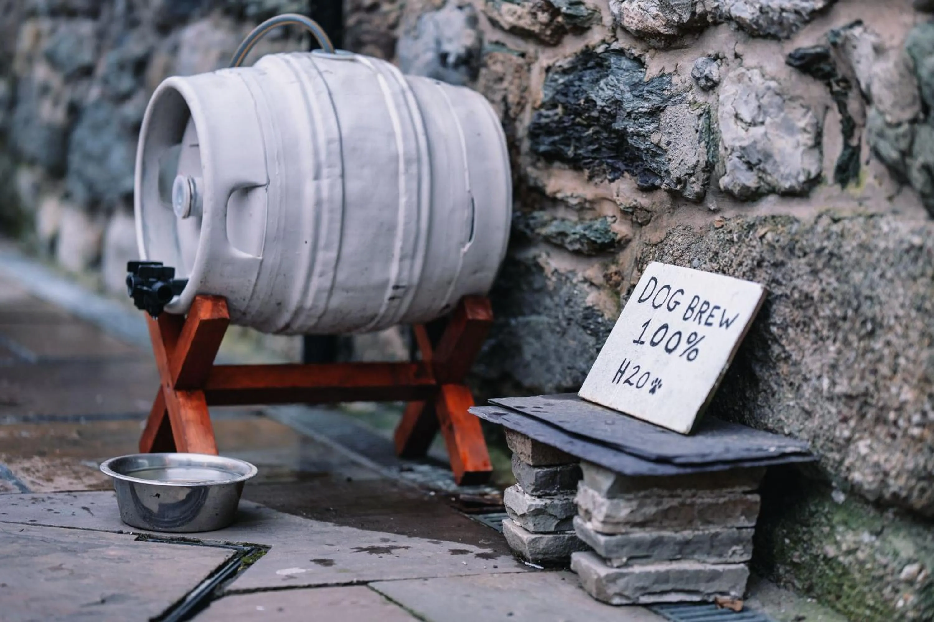 Pets in The Bull and Townhouse, Beaumaris- The Inn Collection Group