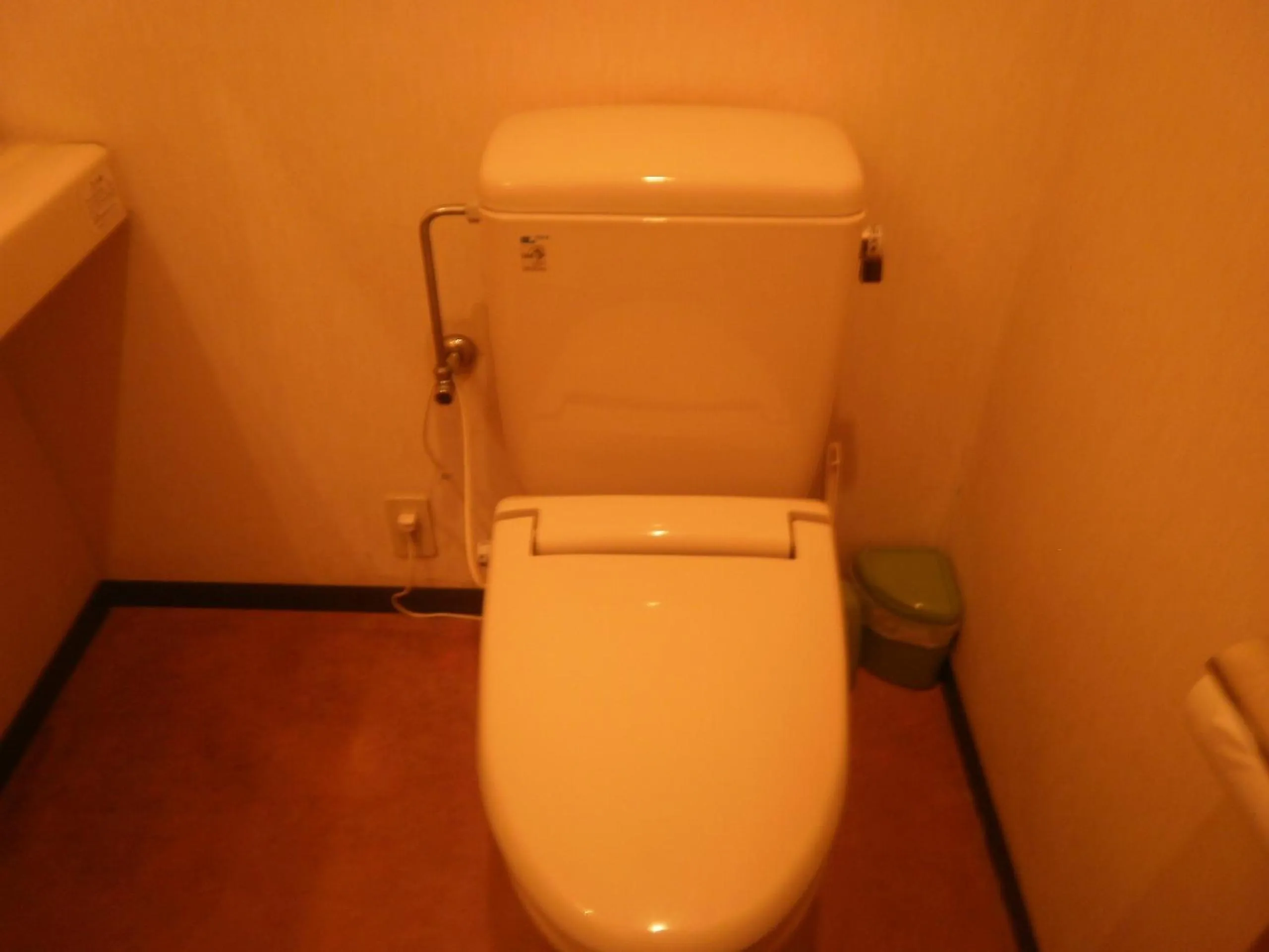 Toilet in Kakiya Ryokan