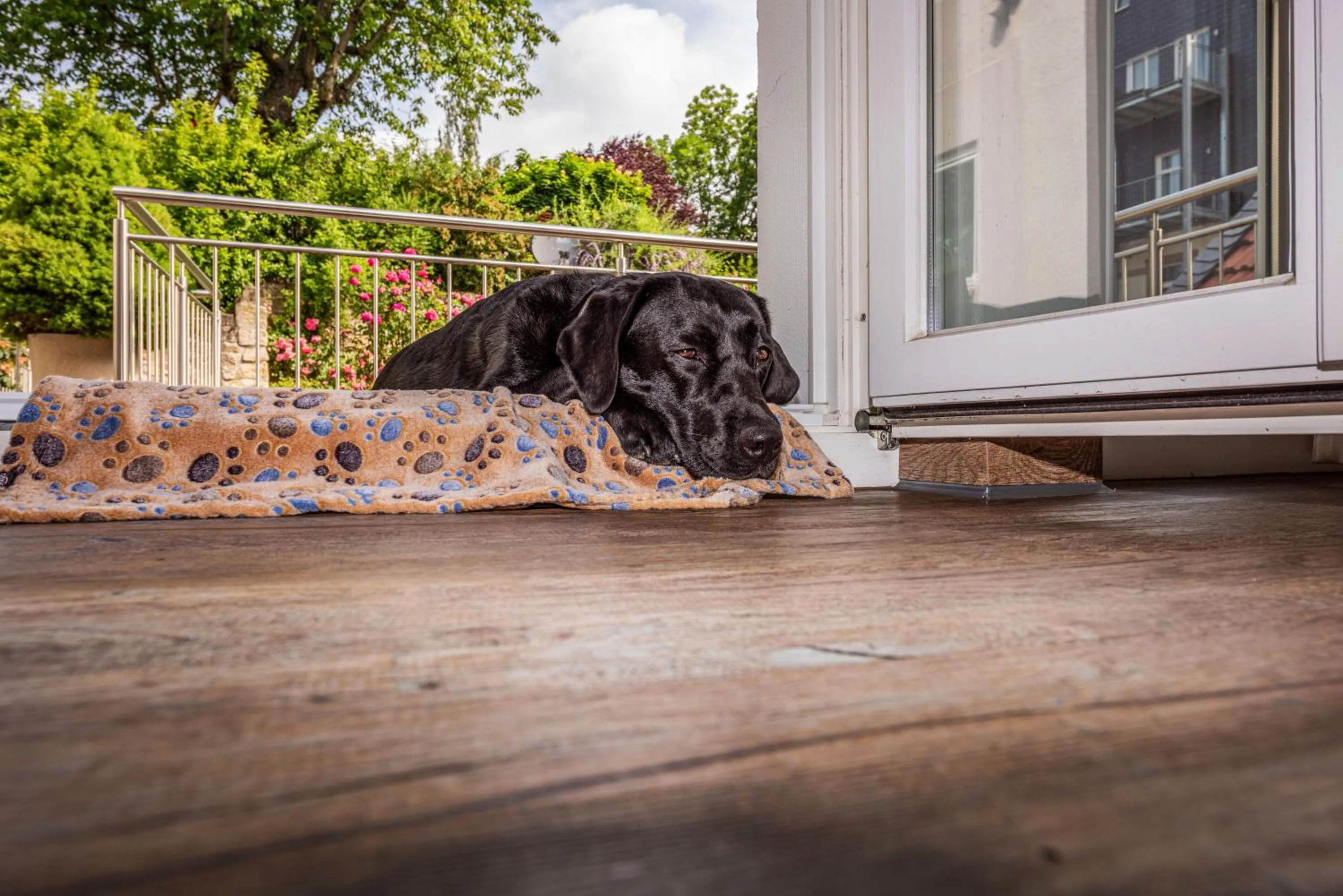 Balcony/Terrace in City-Appartements Am Wall