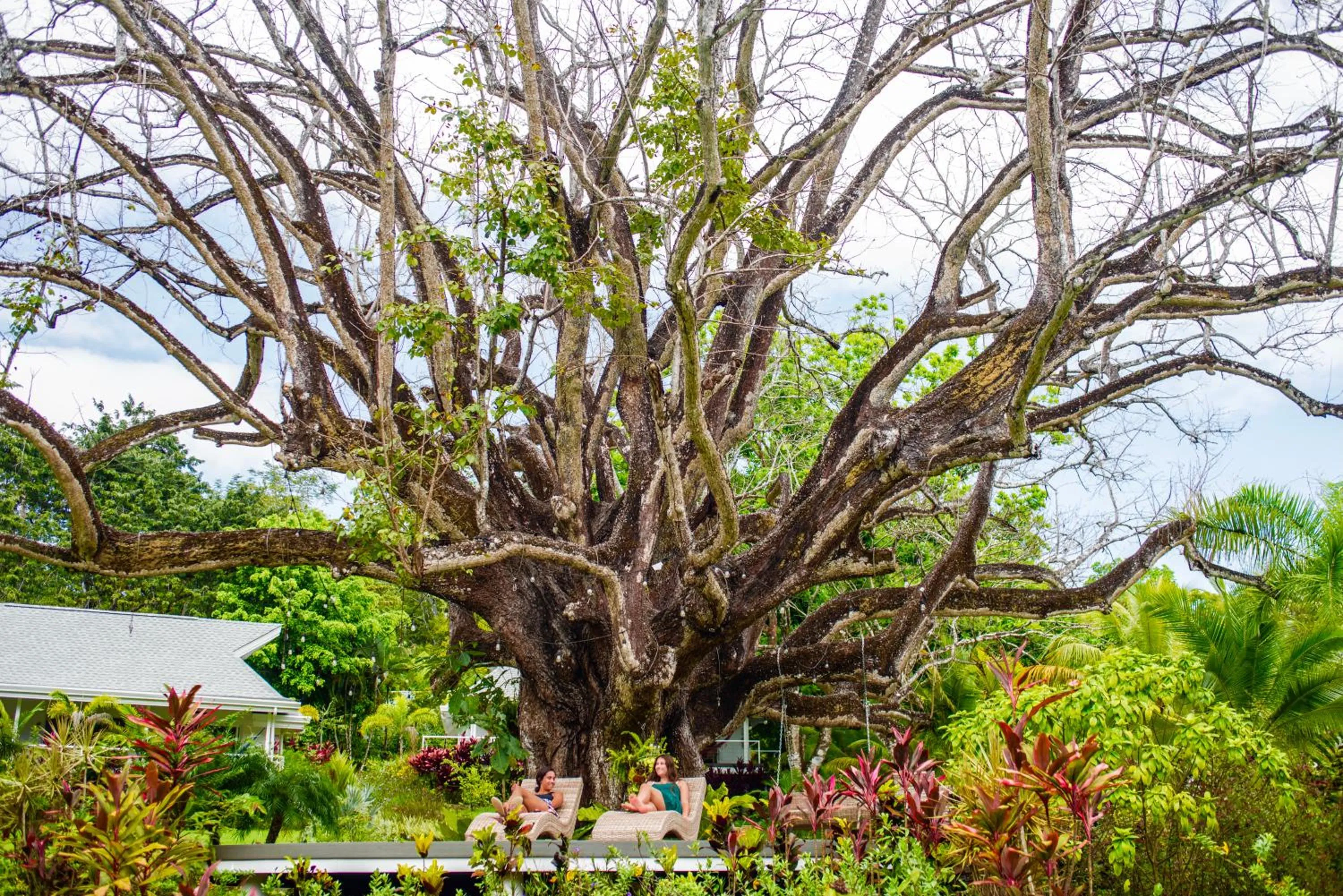Natural landscape in Aves Resort Montezuma