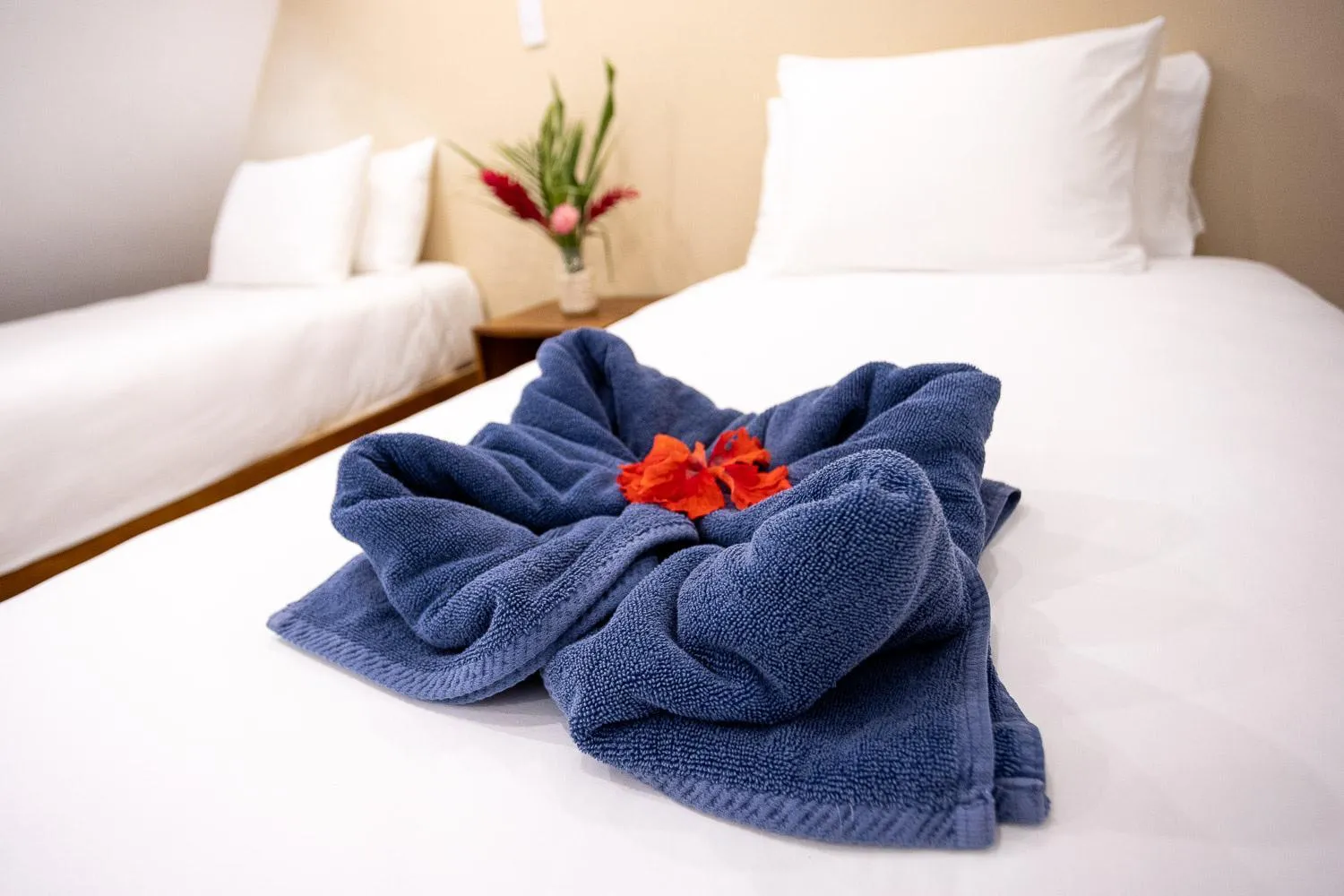 Bed in Aves Resort Montezuma