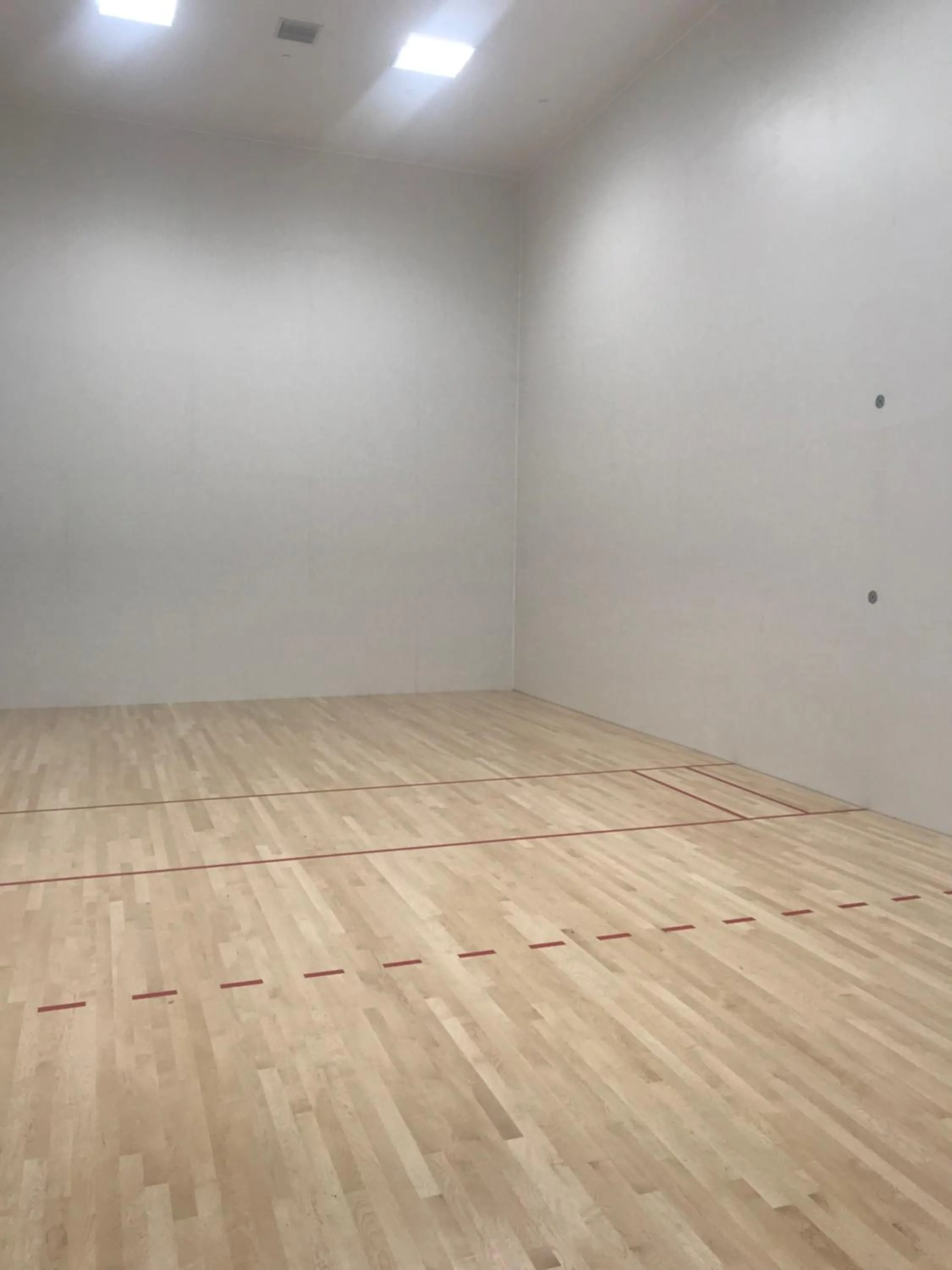 Squash in Hide House