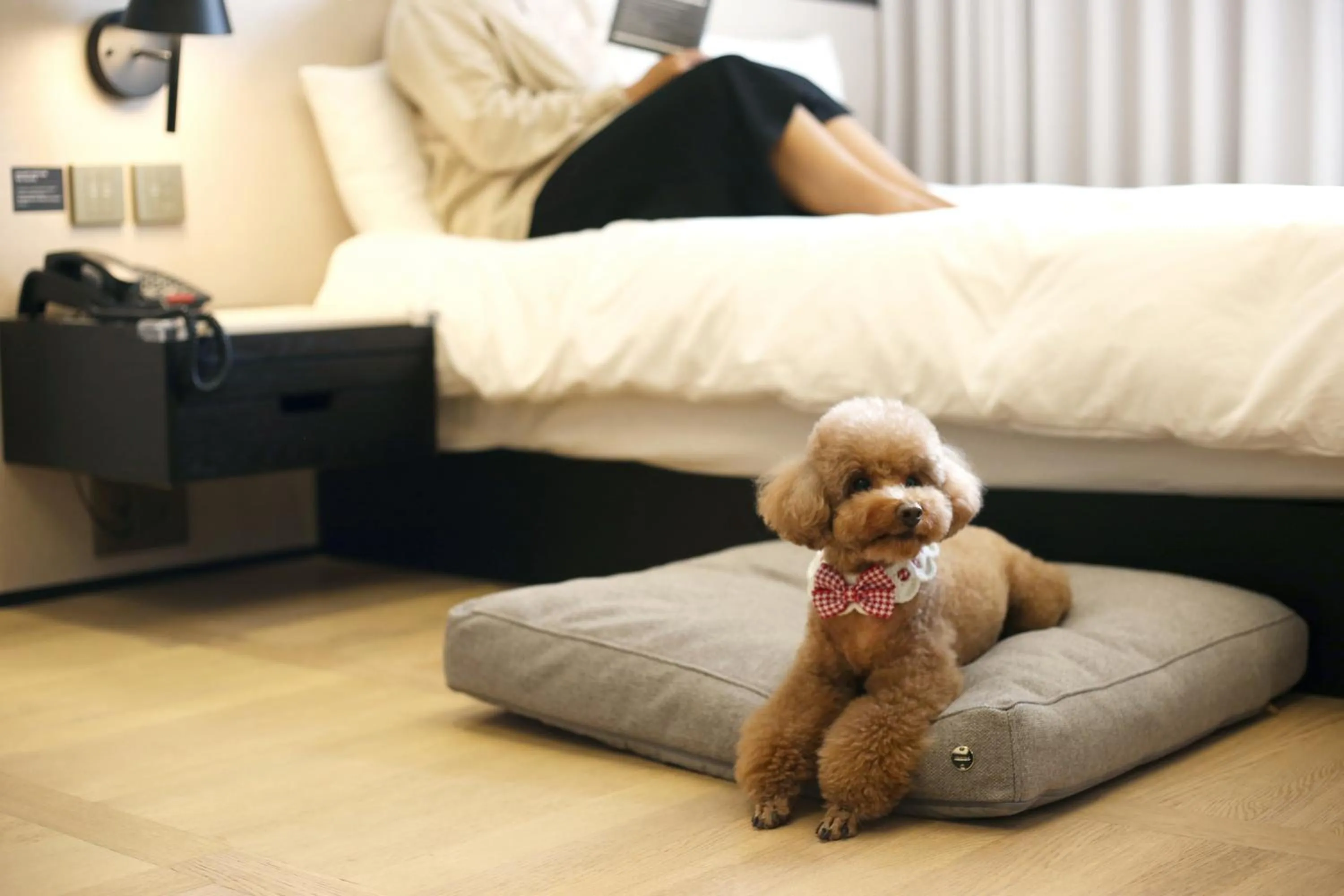 Bed in Maison Glad Jeju