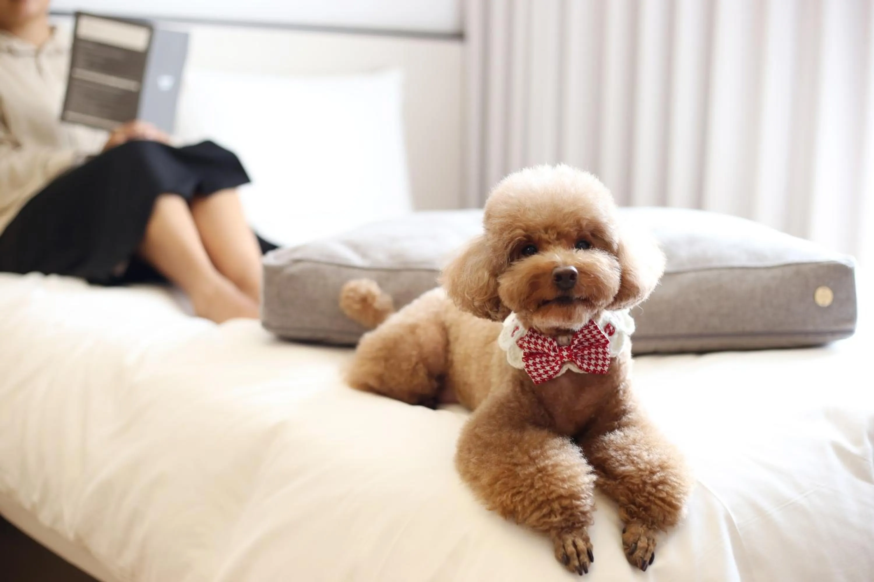 Bedroom in Maison Glad Jeju