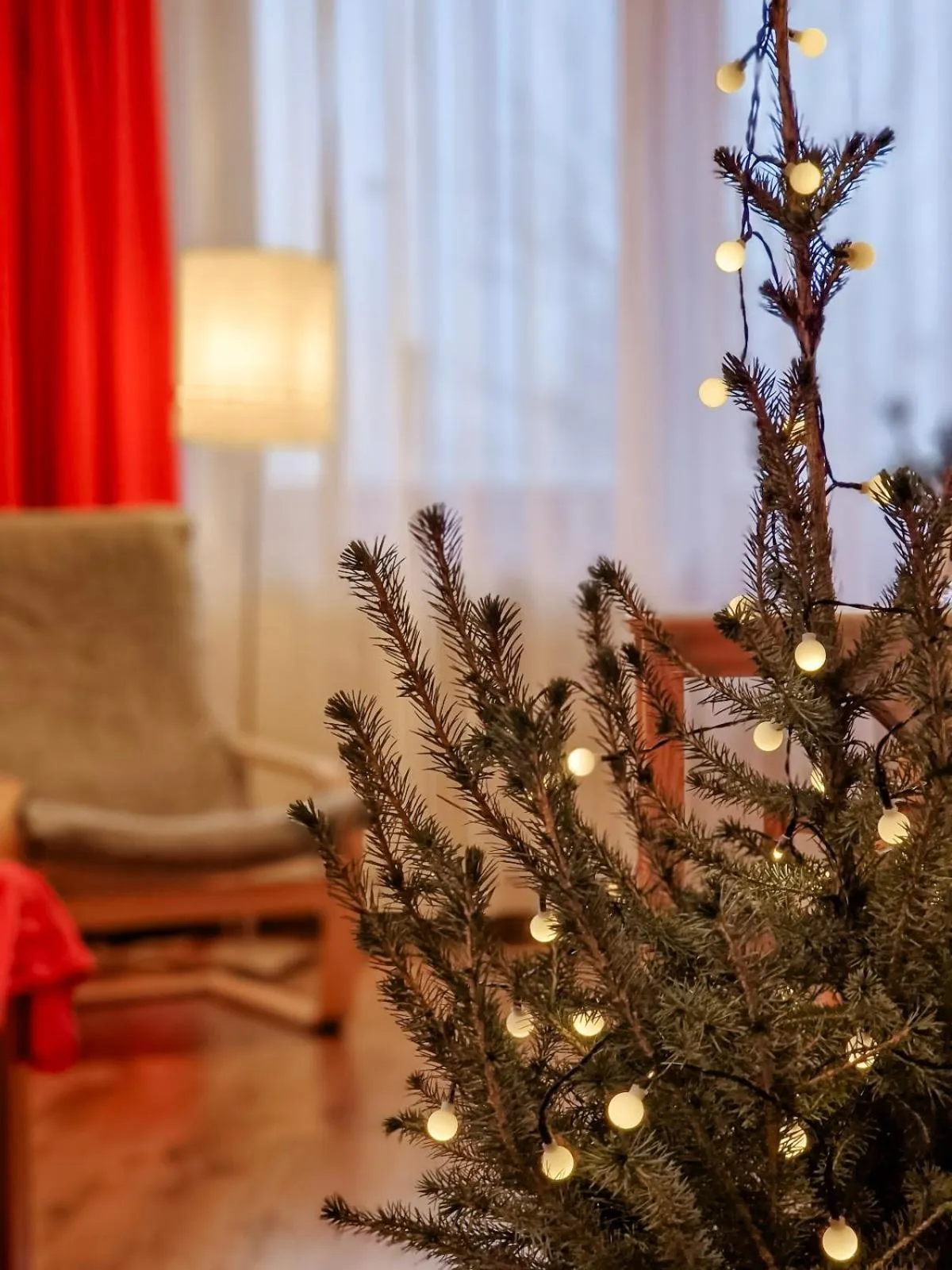 Winter in Zakopane Stop