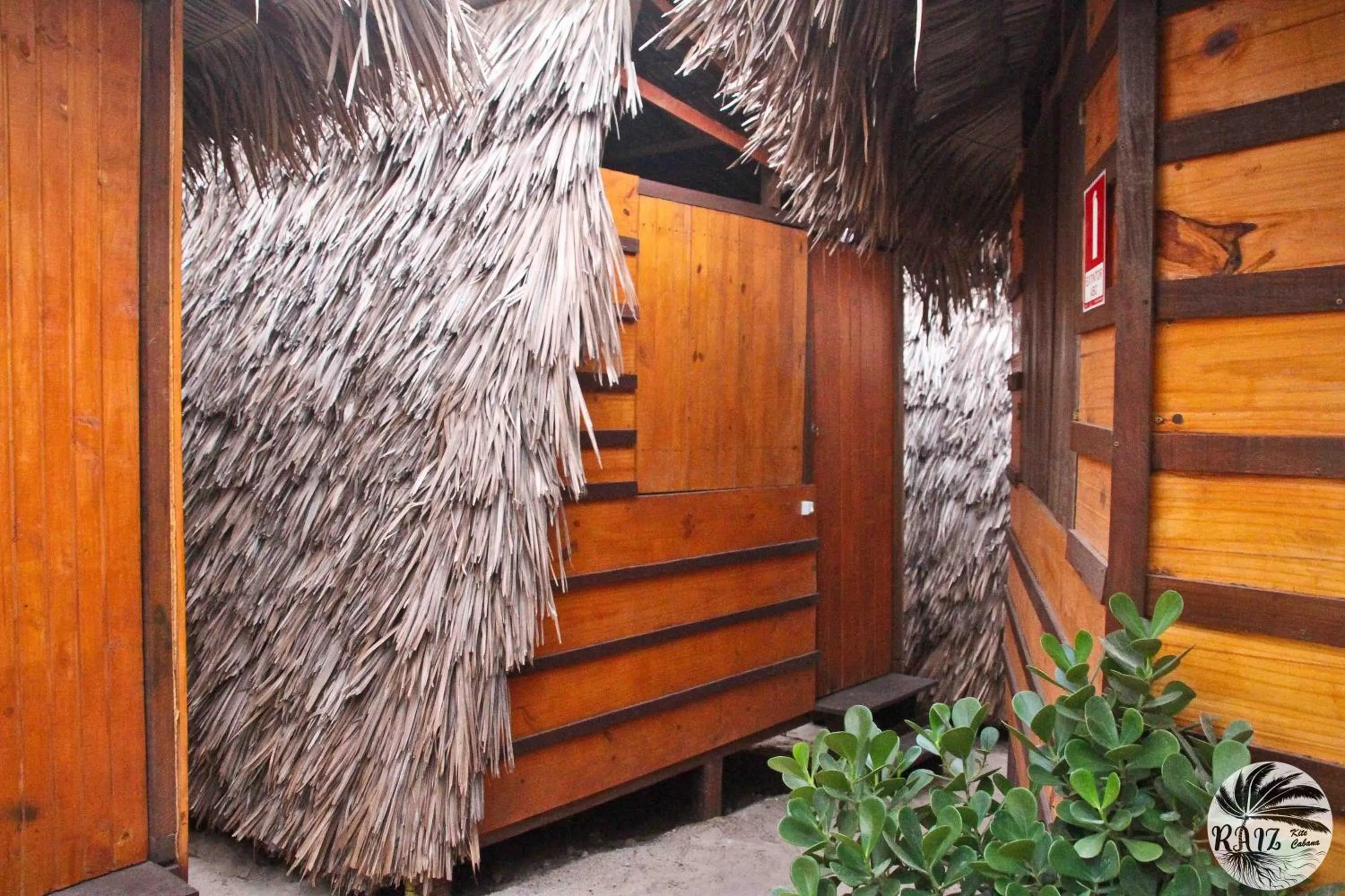 Raiz Kite Cabana