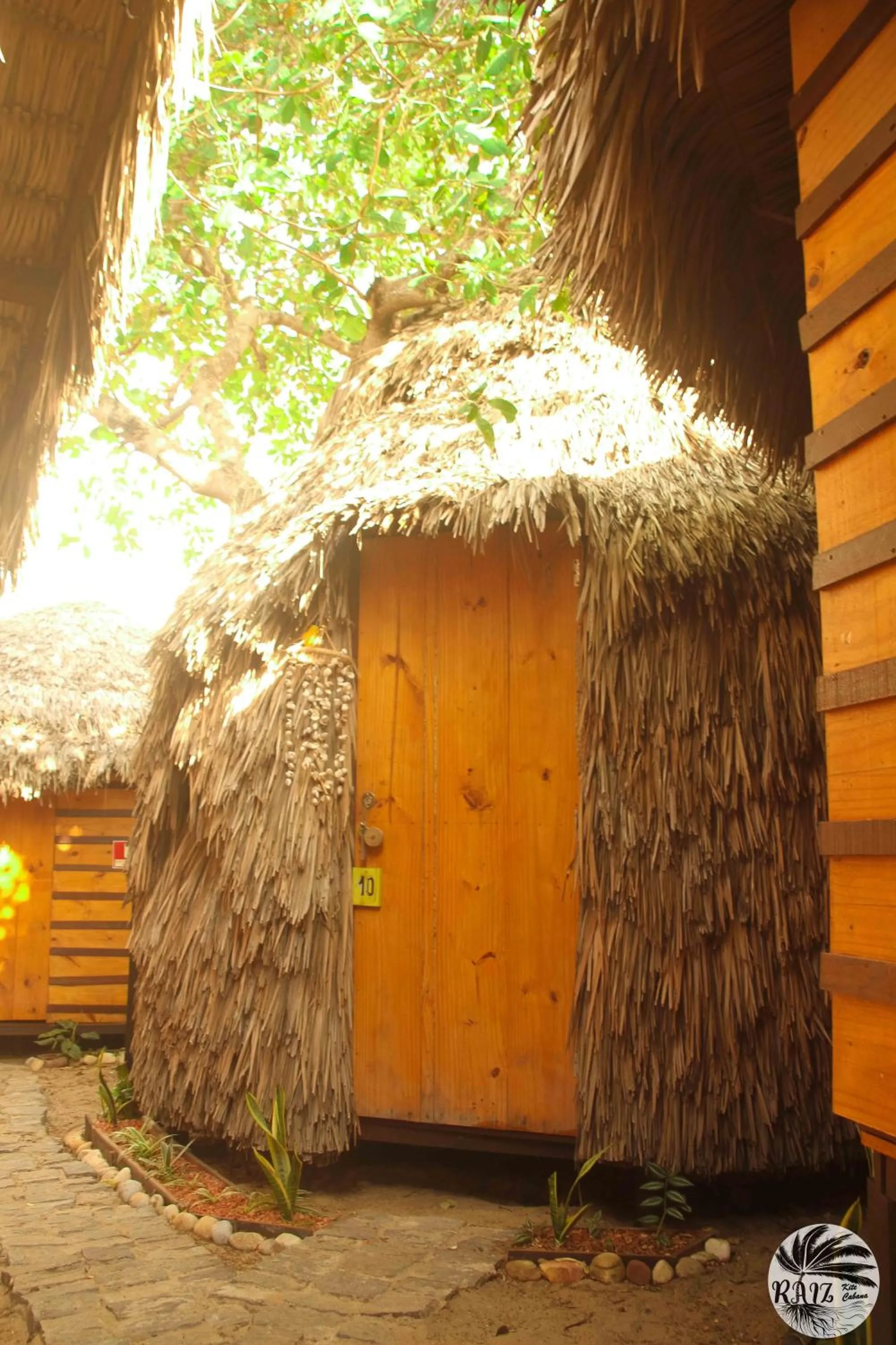Raiz Kite Cabana
