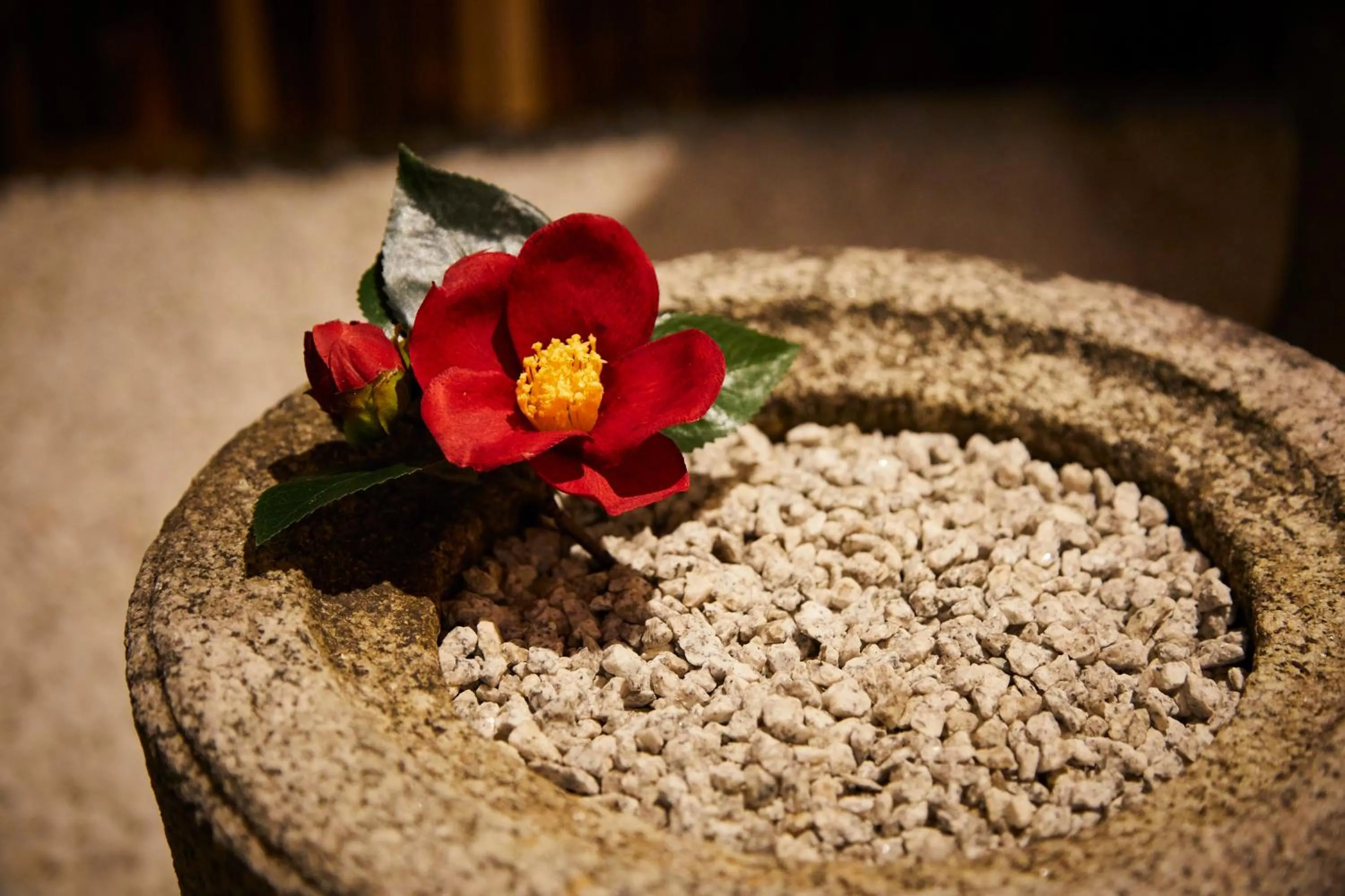 Other in Rinn Shijo Nishinotoin