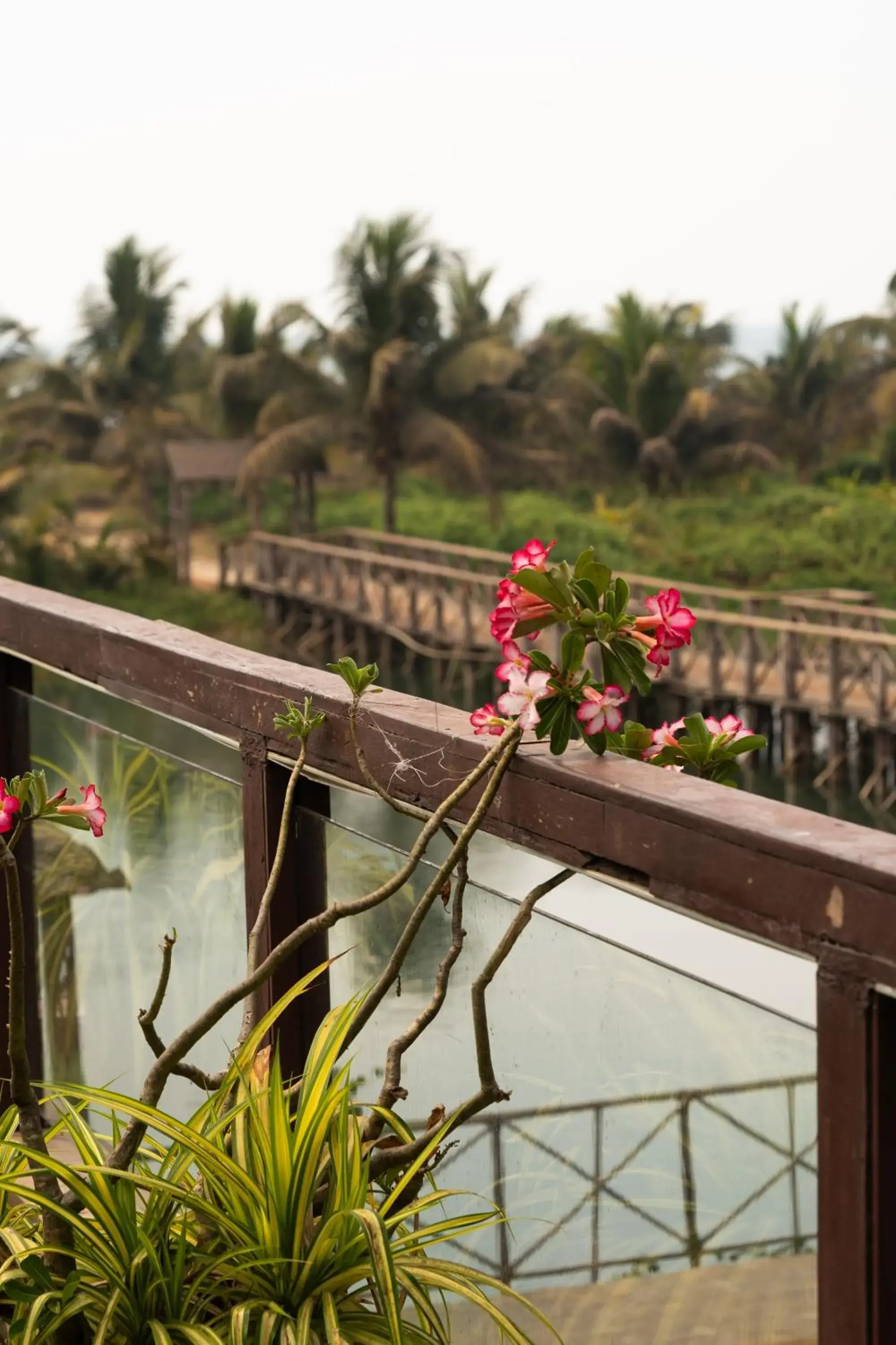 River view in Riva Beach Resort River view in Riva Beach Resort